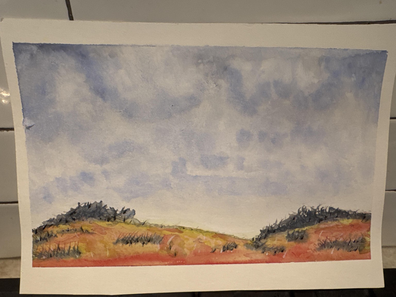 Landscaping! - image 1 - student project