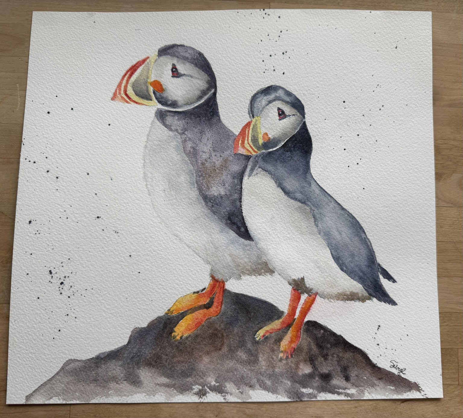 Puffins - image 1 - student project