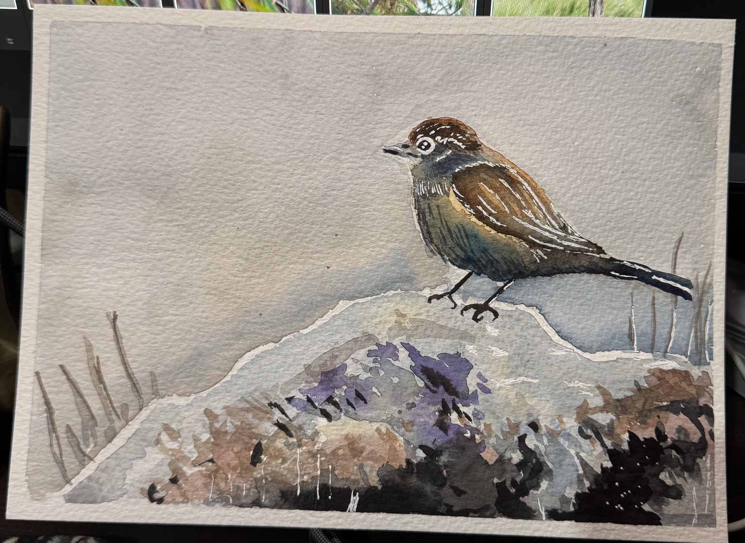 Dark Wren - image 1 - student project