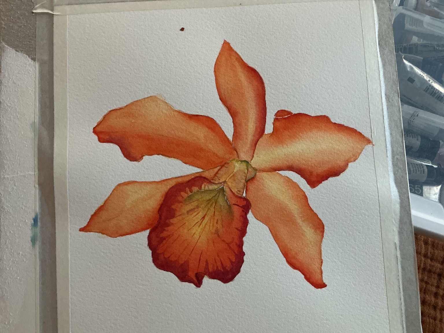 Orange Orchid - image 2 - student project