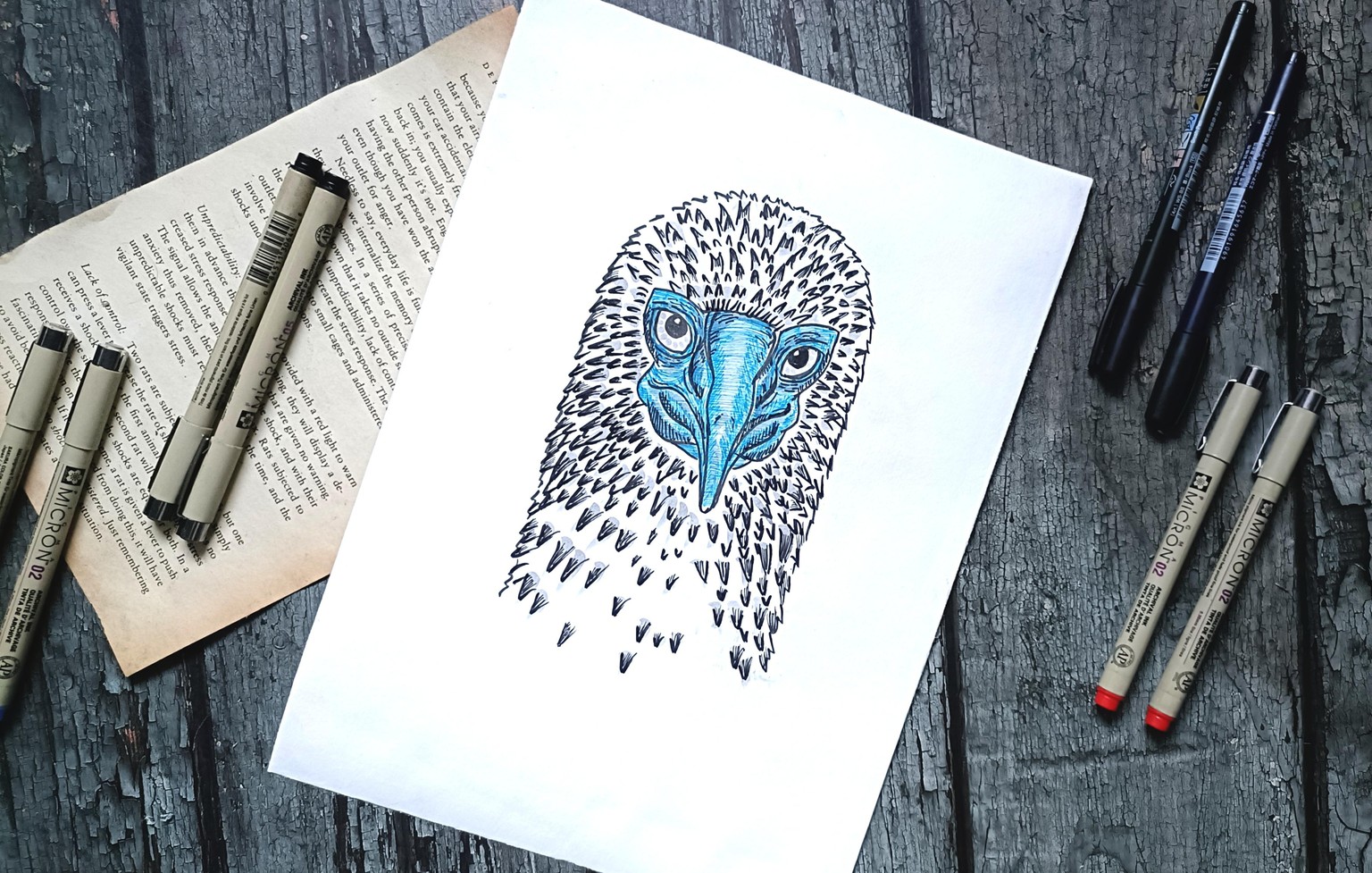 Blue Footed Bird - image 6 - student project