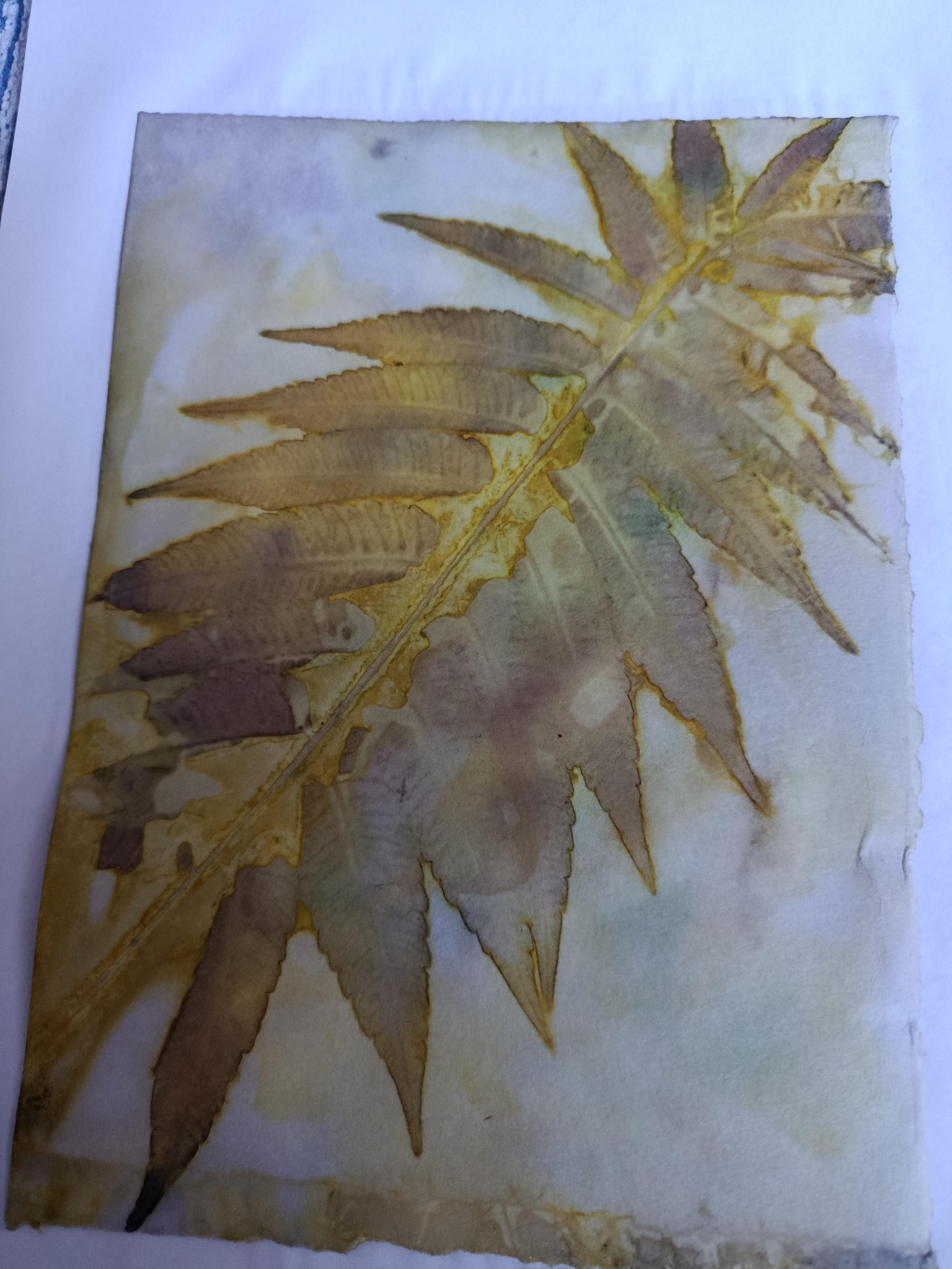Eco-dyeing on paper - image 1 - student project