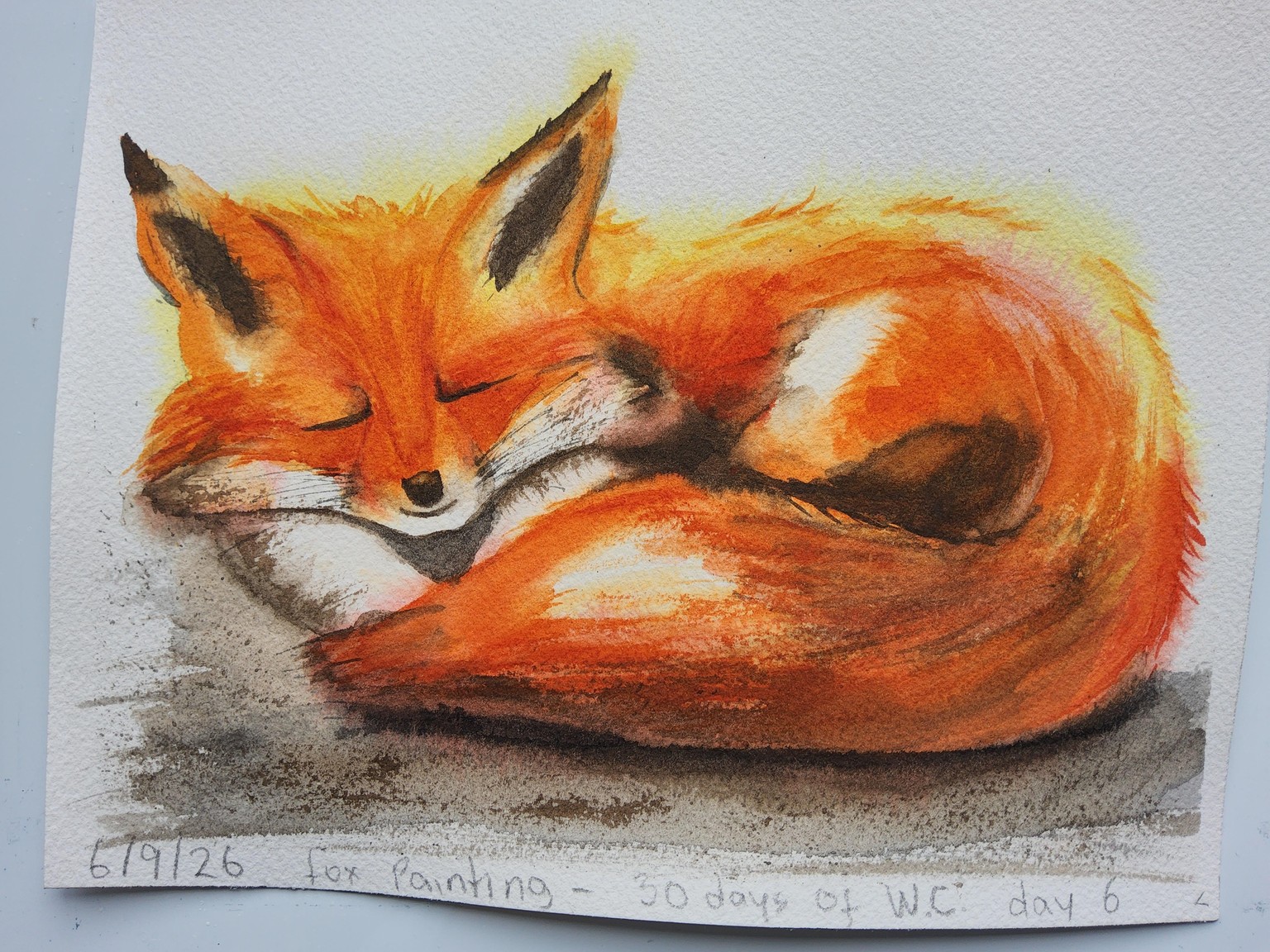 Sleeping fox - image 1 - student project