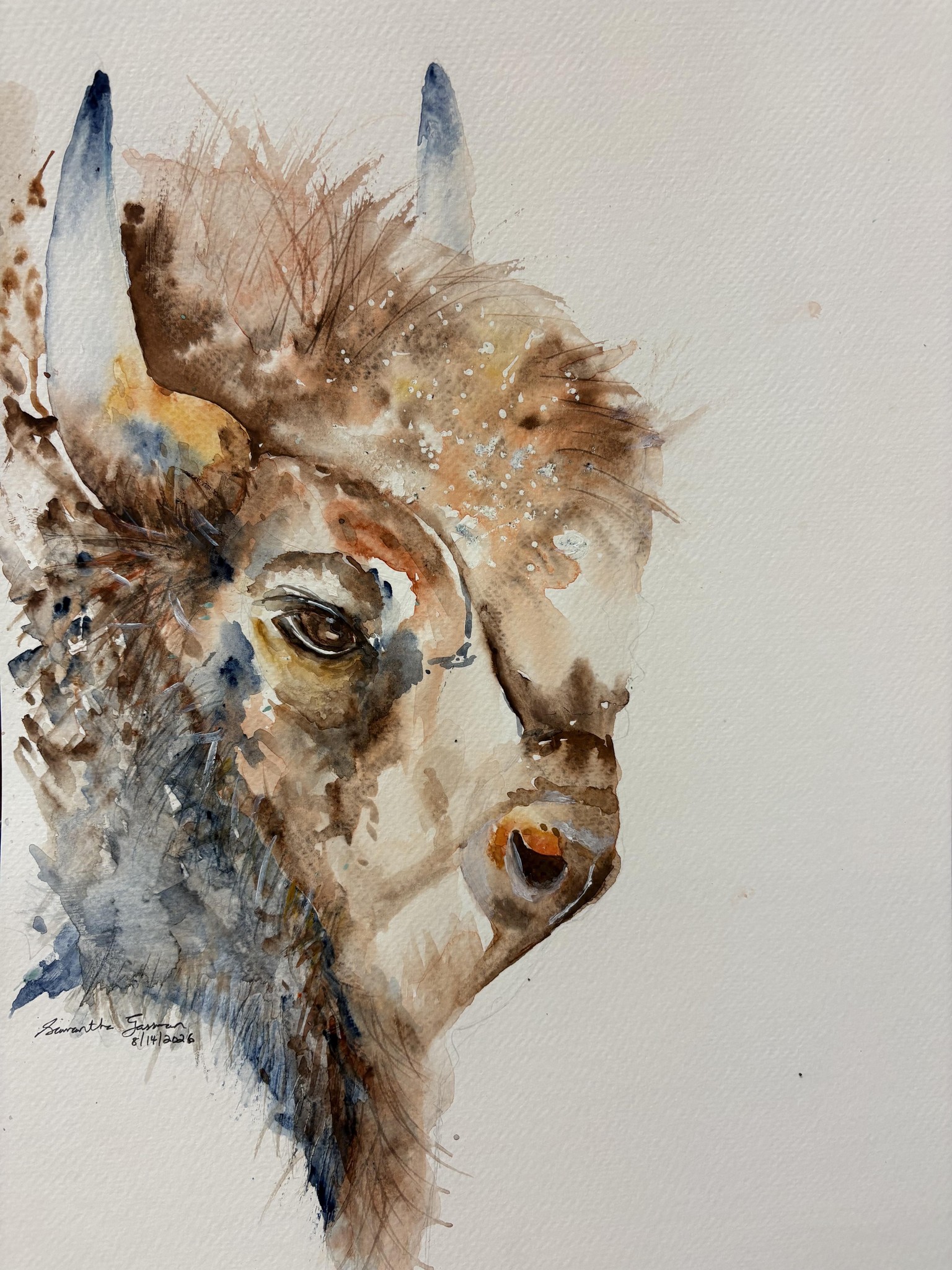 Bison painting - image 1 - student project