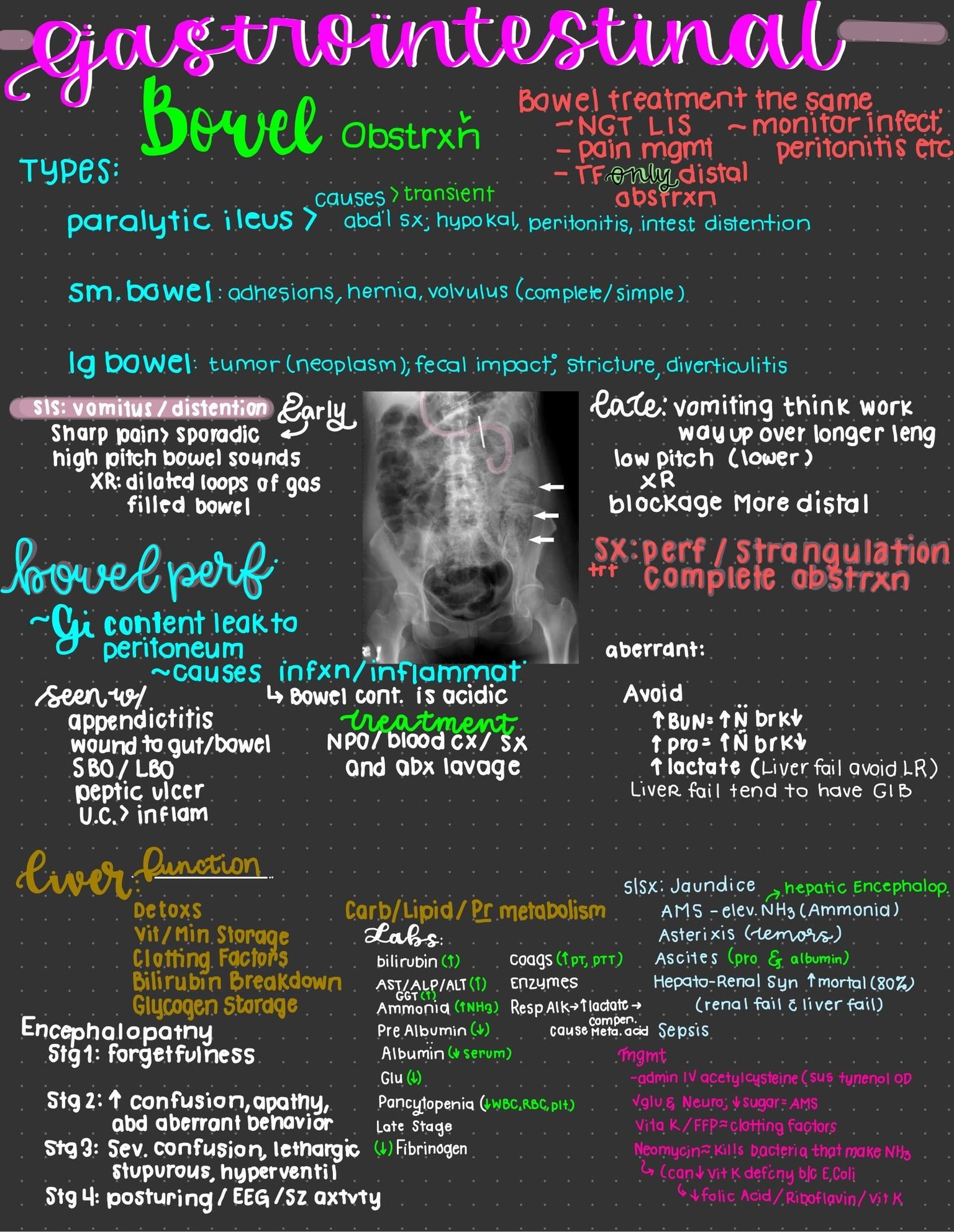 CCRN Astro - image 4 - student project