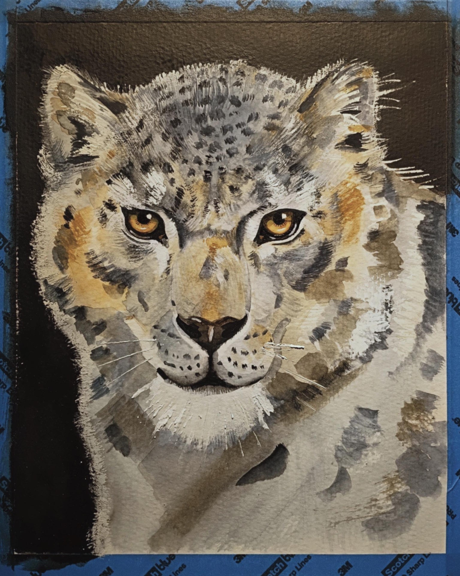 Snow Leopard - image 1 - student project
