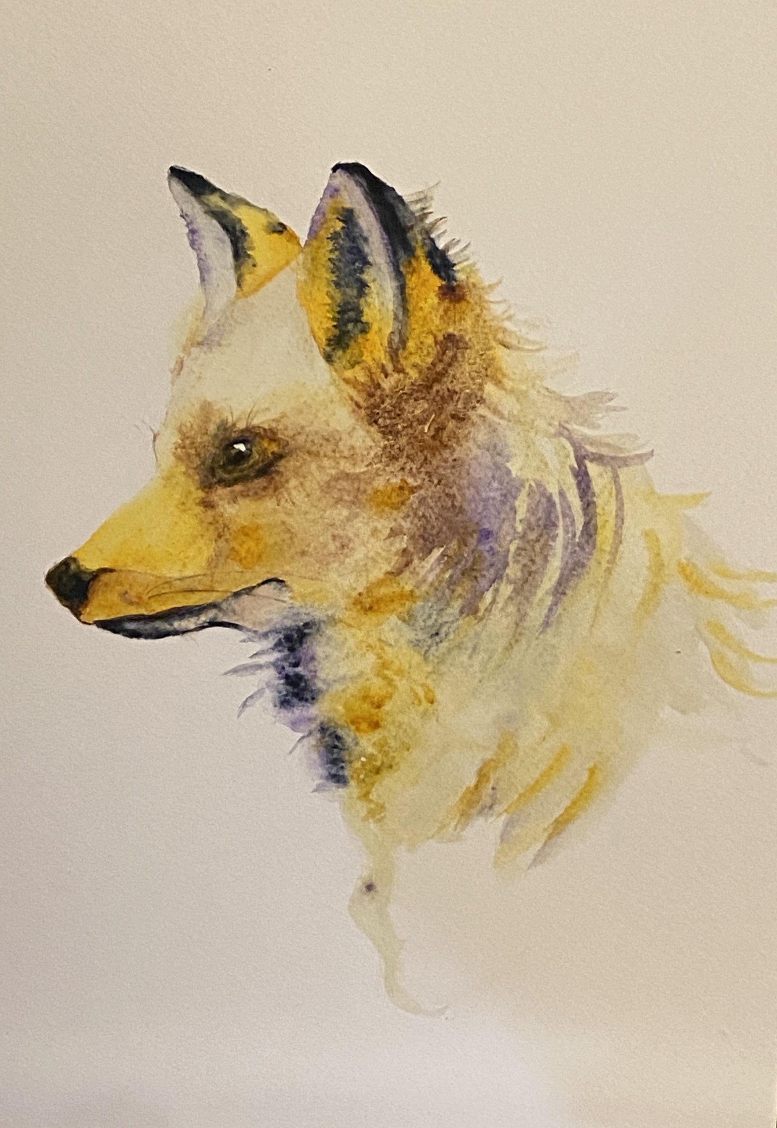 Foxy Loxy - image 1 - student project