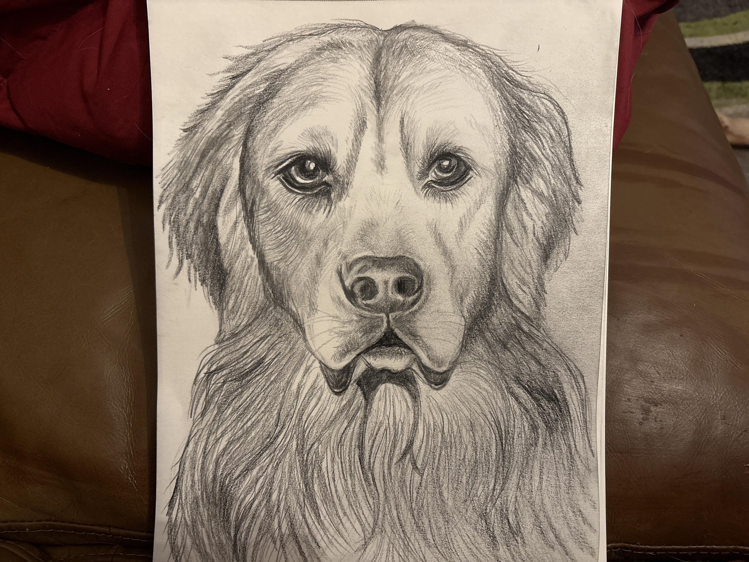 My dog when he was a pup - image 1 - student project