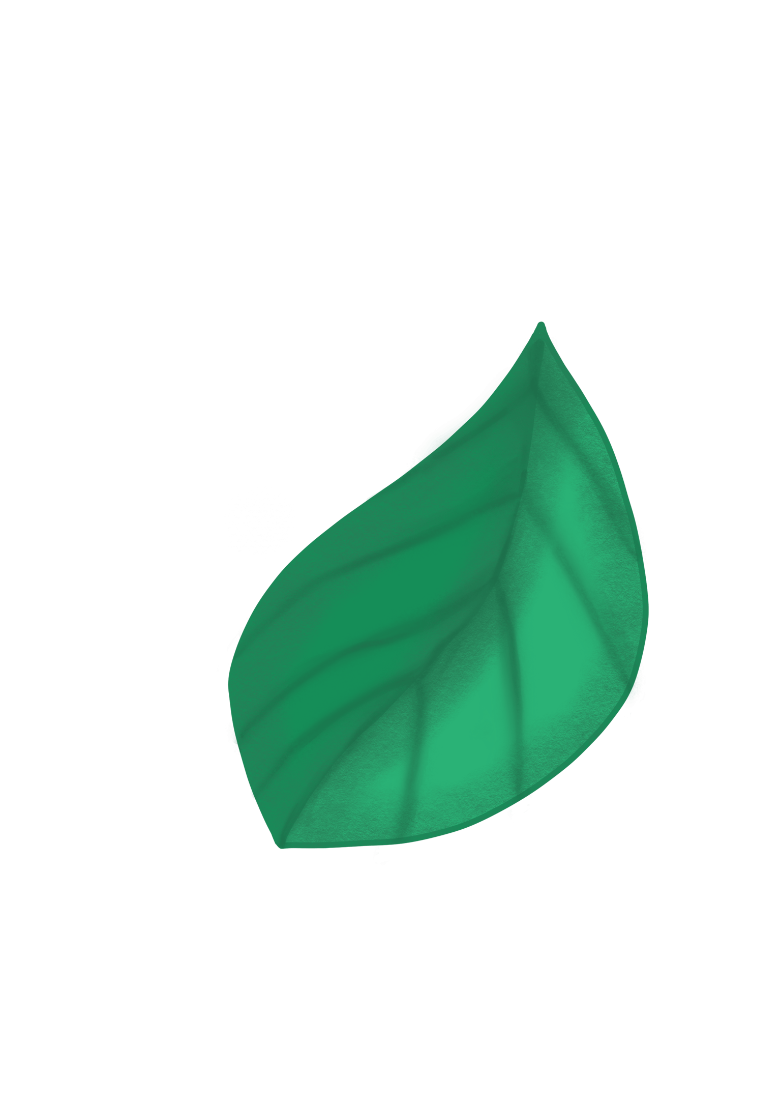My Procreate Fruit Drawing - image 4 - student project