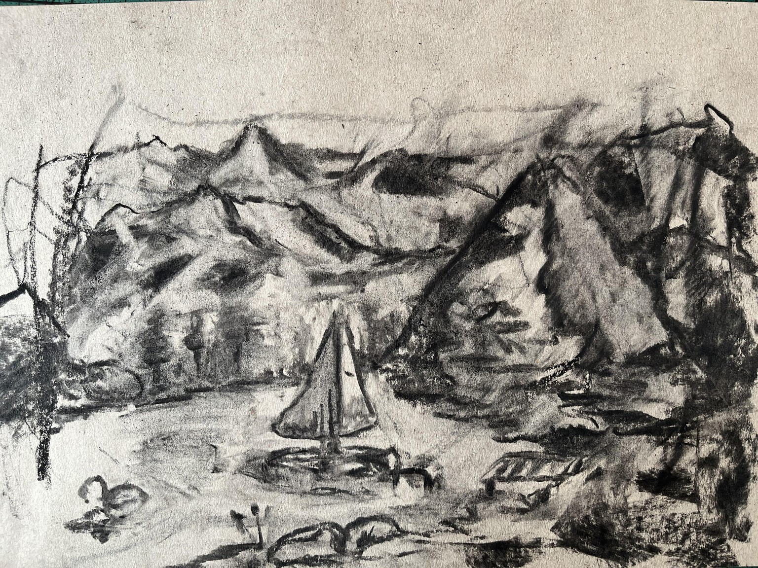 Didn't expect to find myself in the mountains today - image 2 - student project
