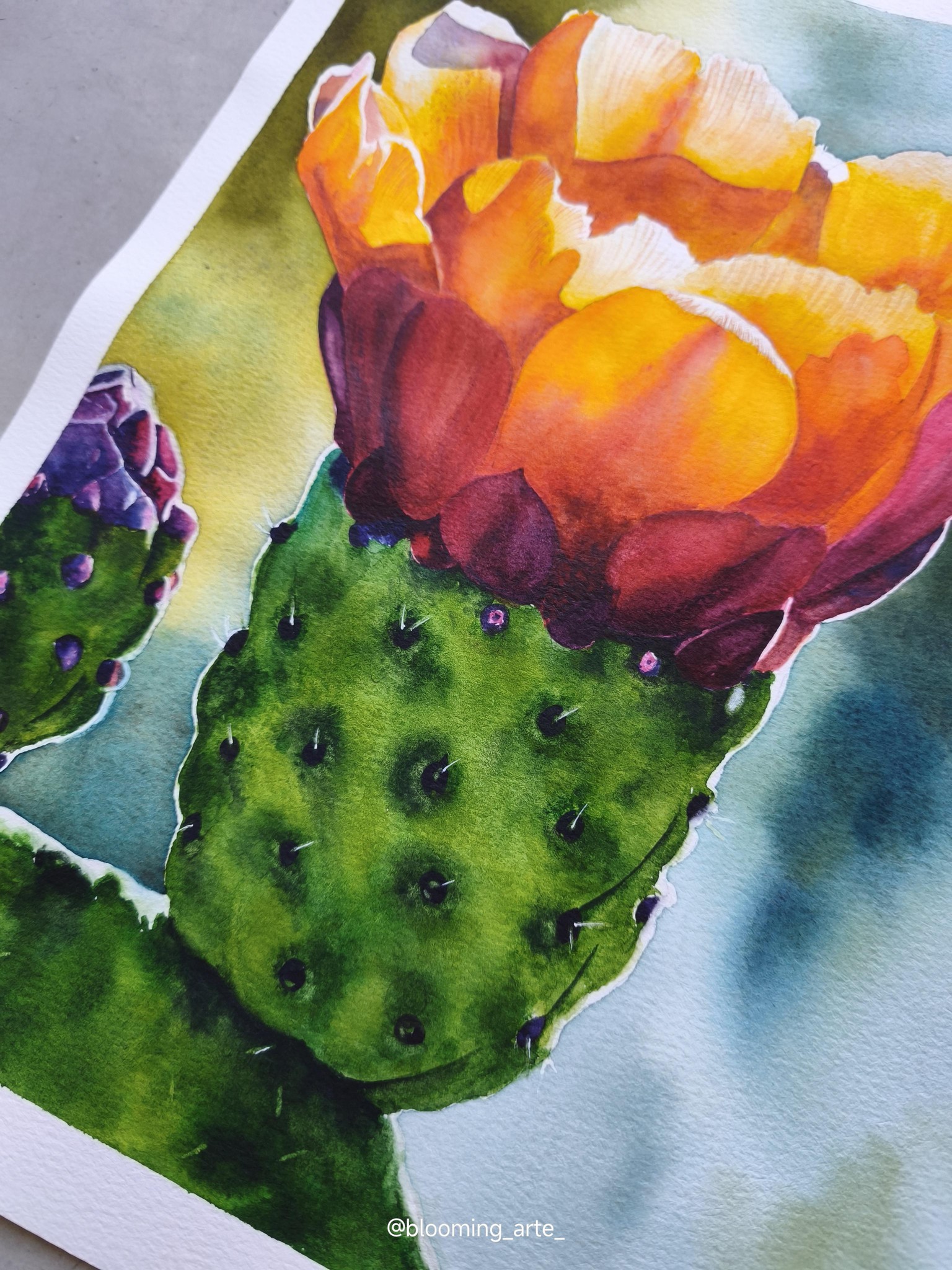 Watercolor Opuntia - image 2 - student project