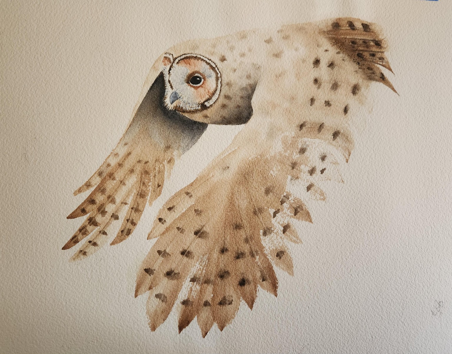 Hedwig the owl - image 2 - student project