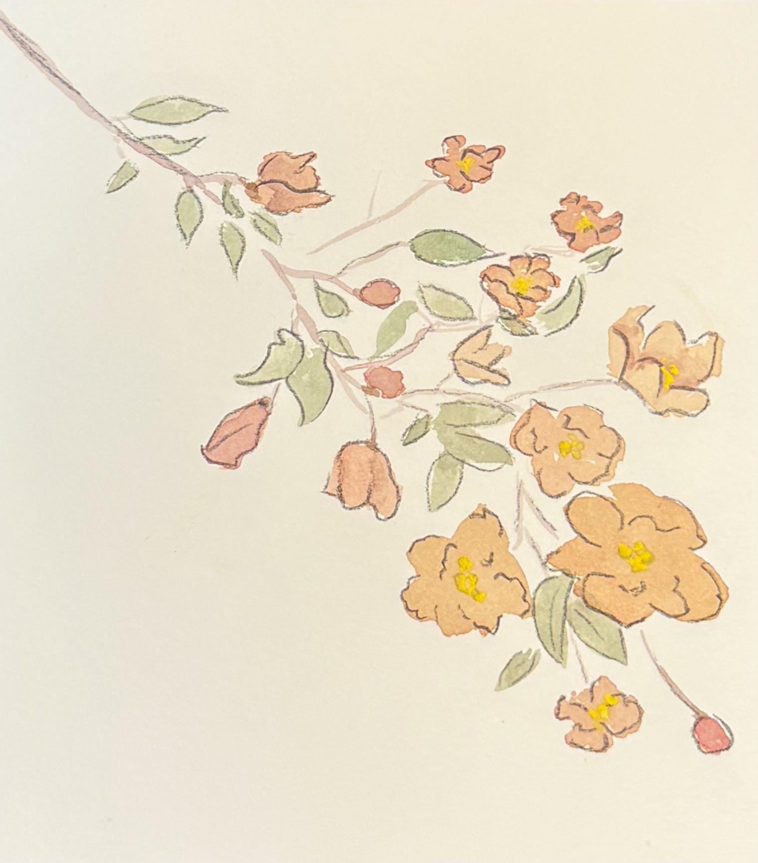 Mixed Media Florals (and experiments)…. - image 1 - student project