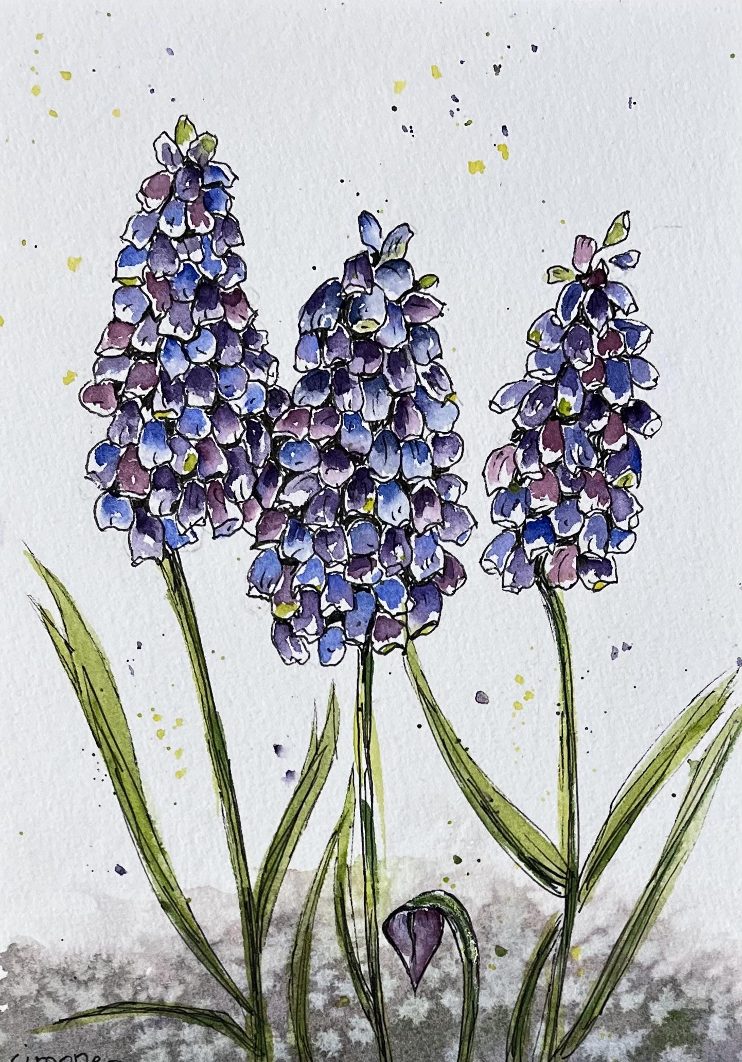 Happy Hyacinths - image 1 - student project