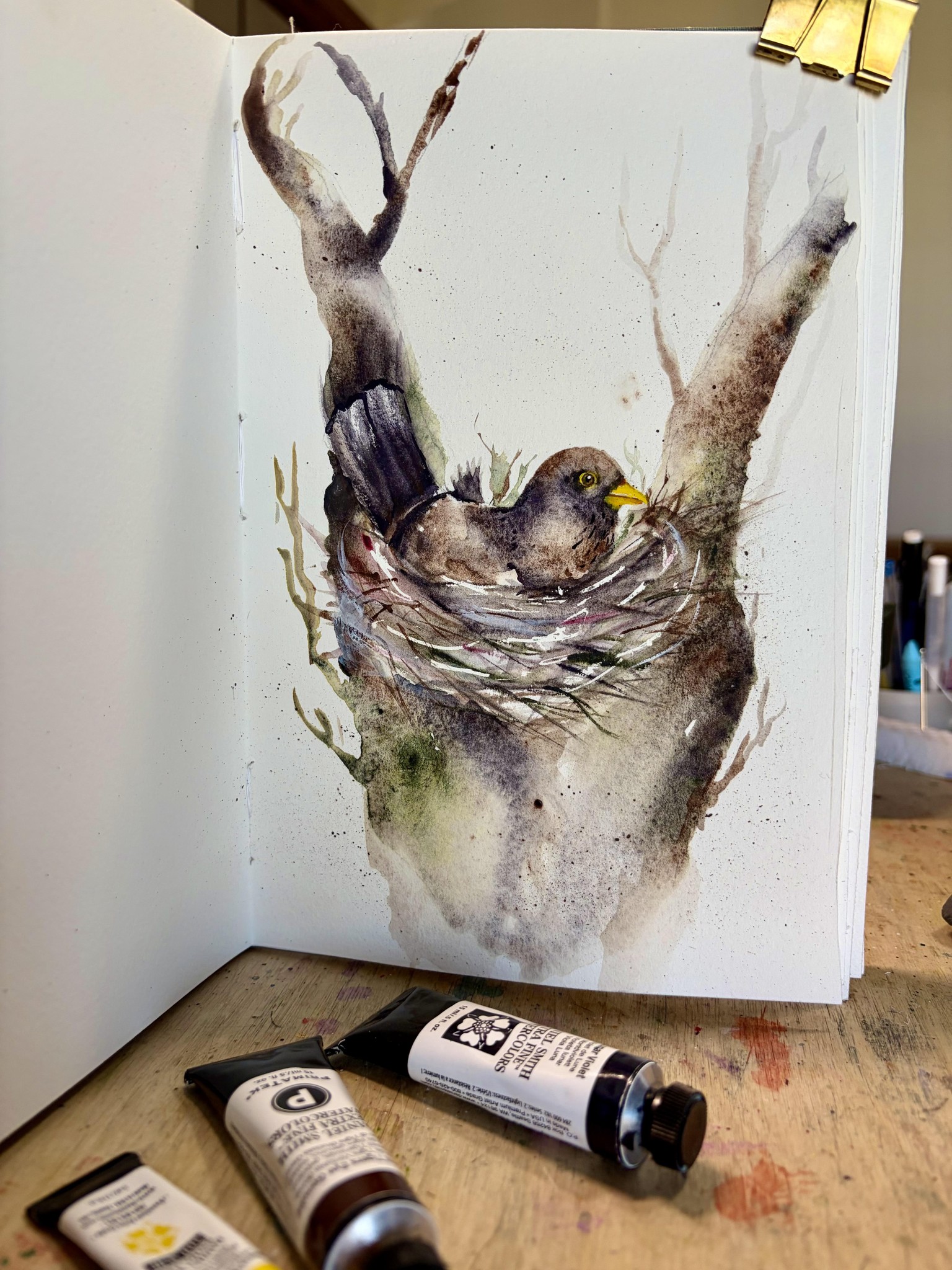 Nesting Bird - image 1 - student project