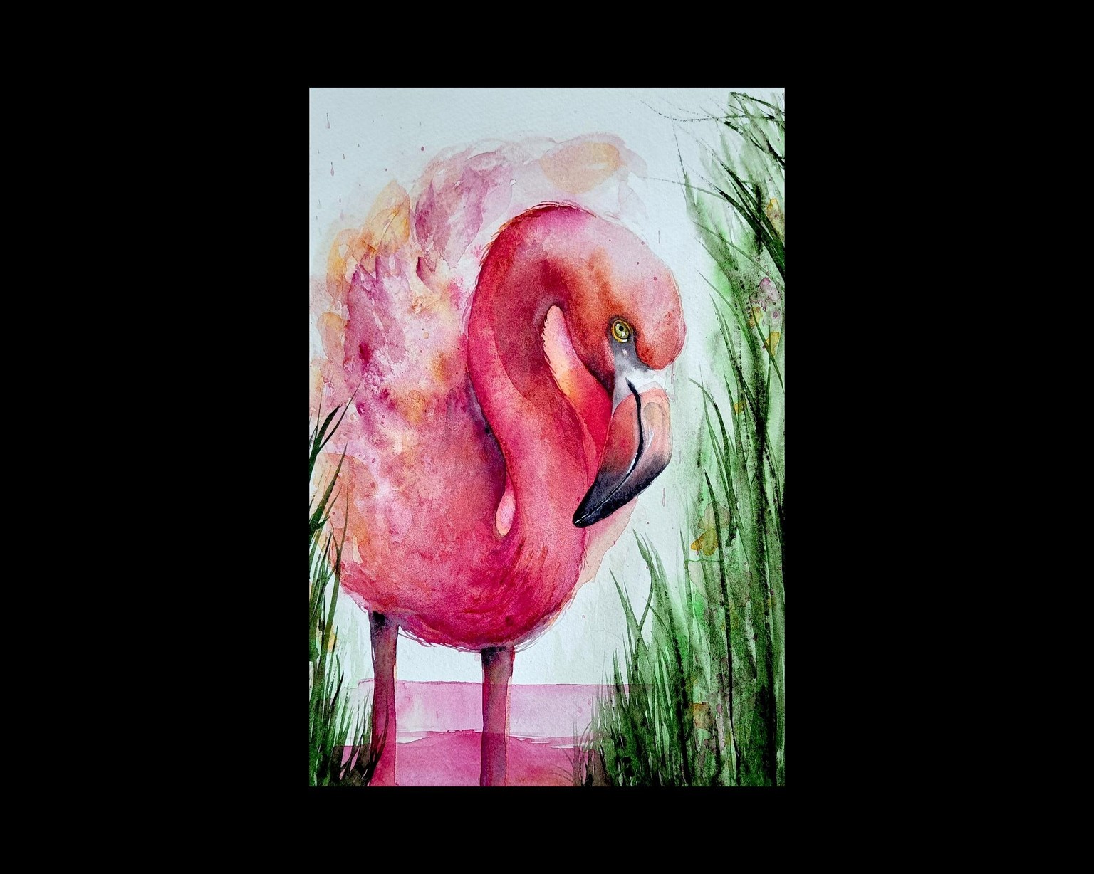 Aquarell - A Flamingo with very sturdy legs - image 1 - student project