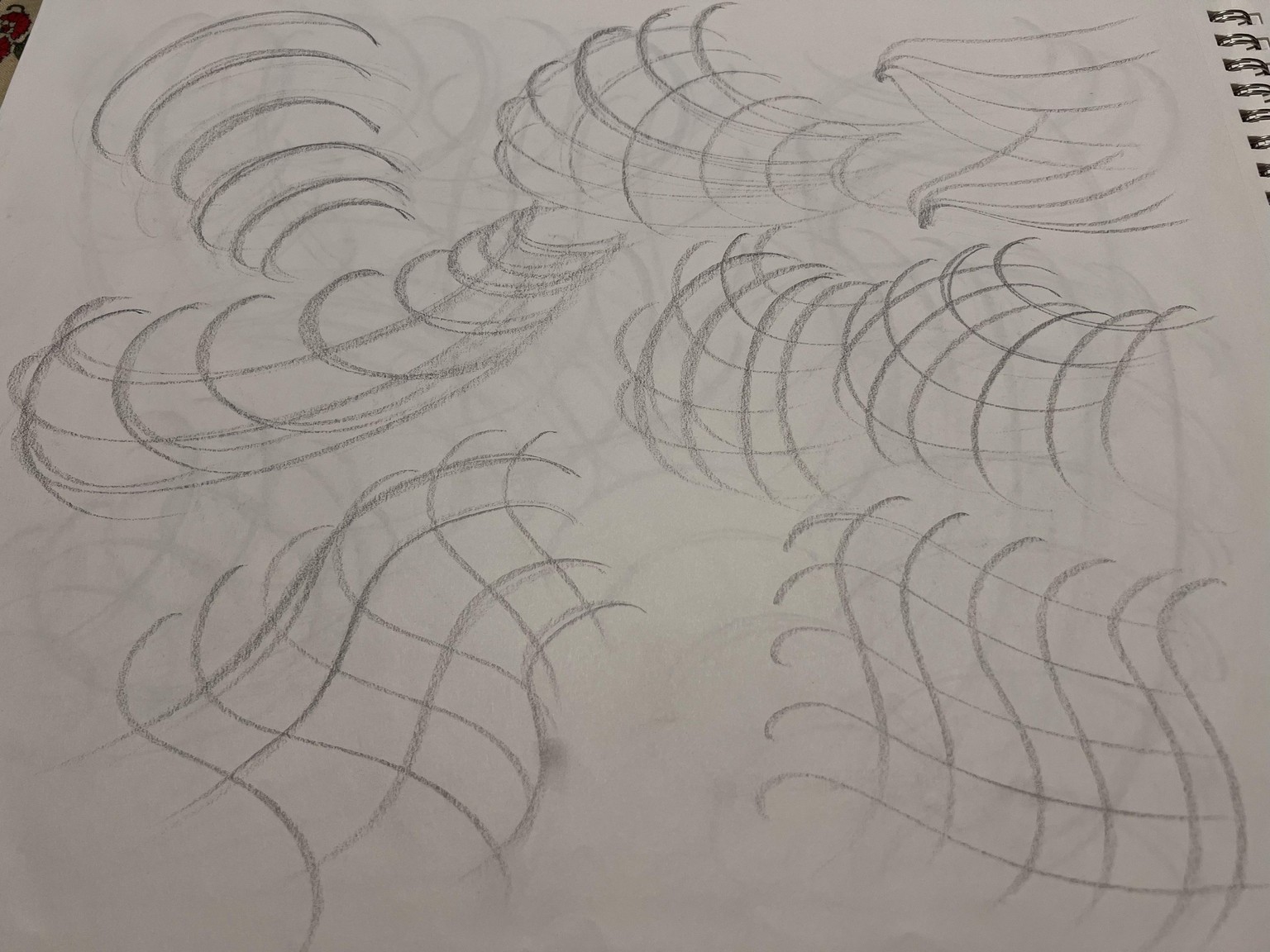 Line, Form, and Shading Practice - image 12 - student project