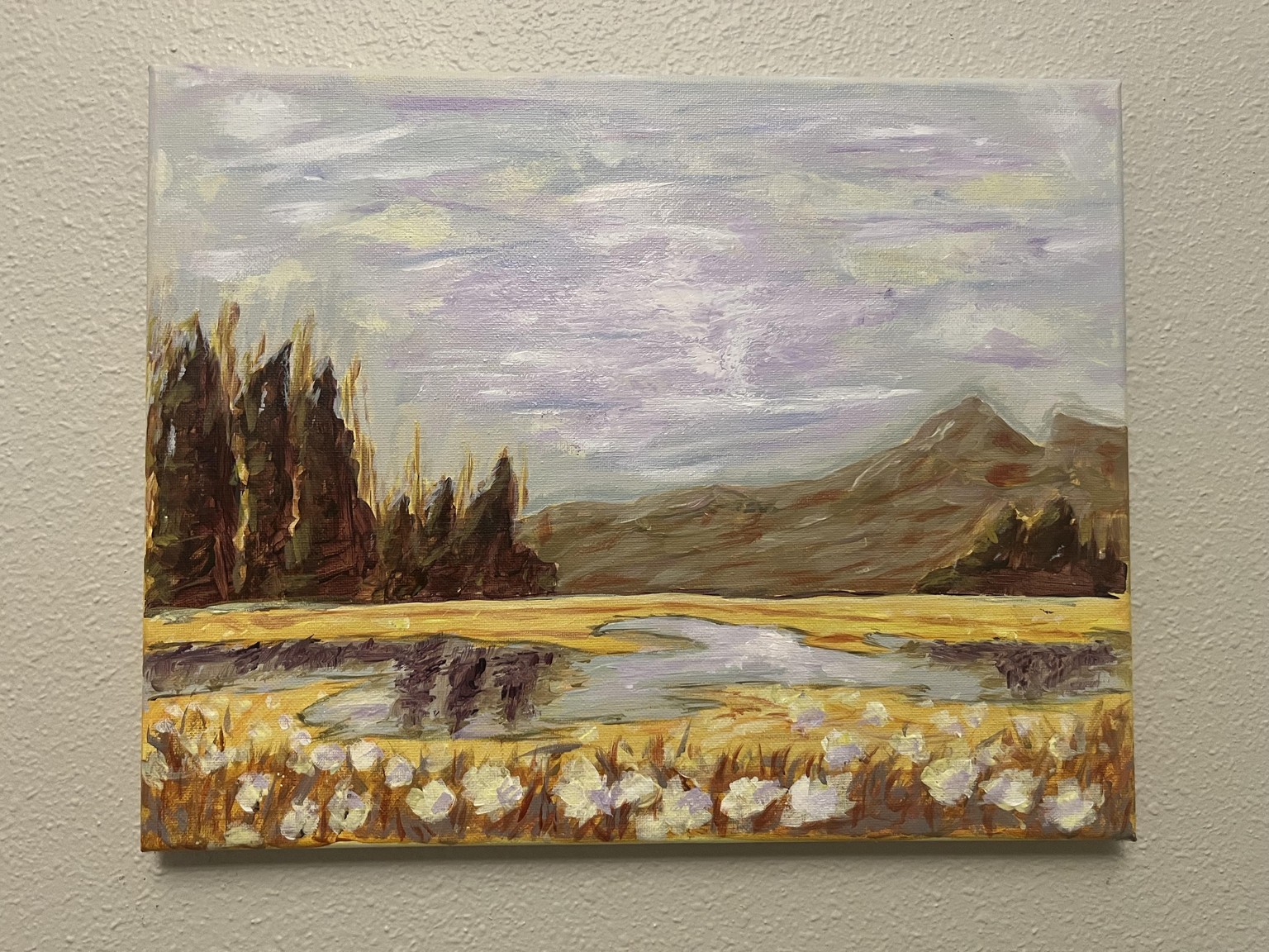 Simple Landscape on Canvas - image 1 - student project