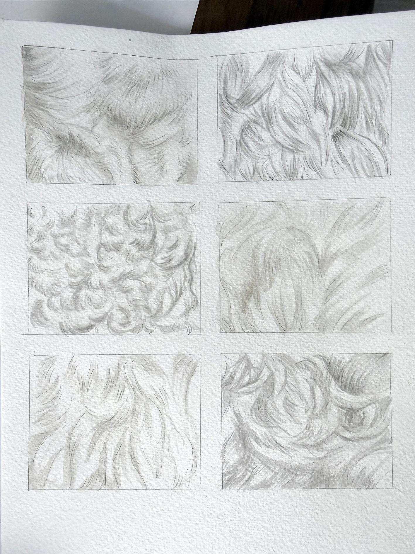 Dog Fur. .. my results - image 1 - student project