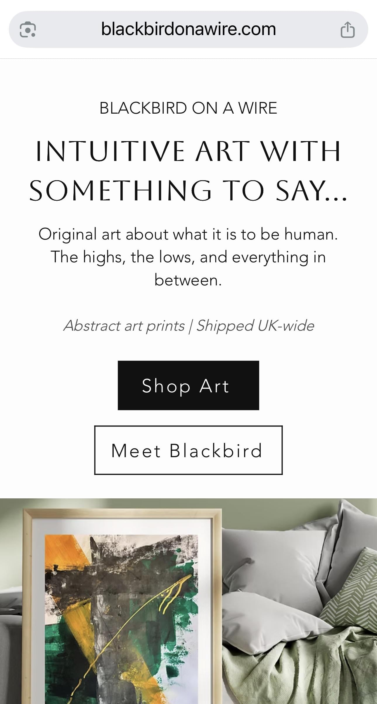 Blackbird has taken flight - image 1 - student project