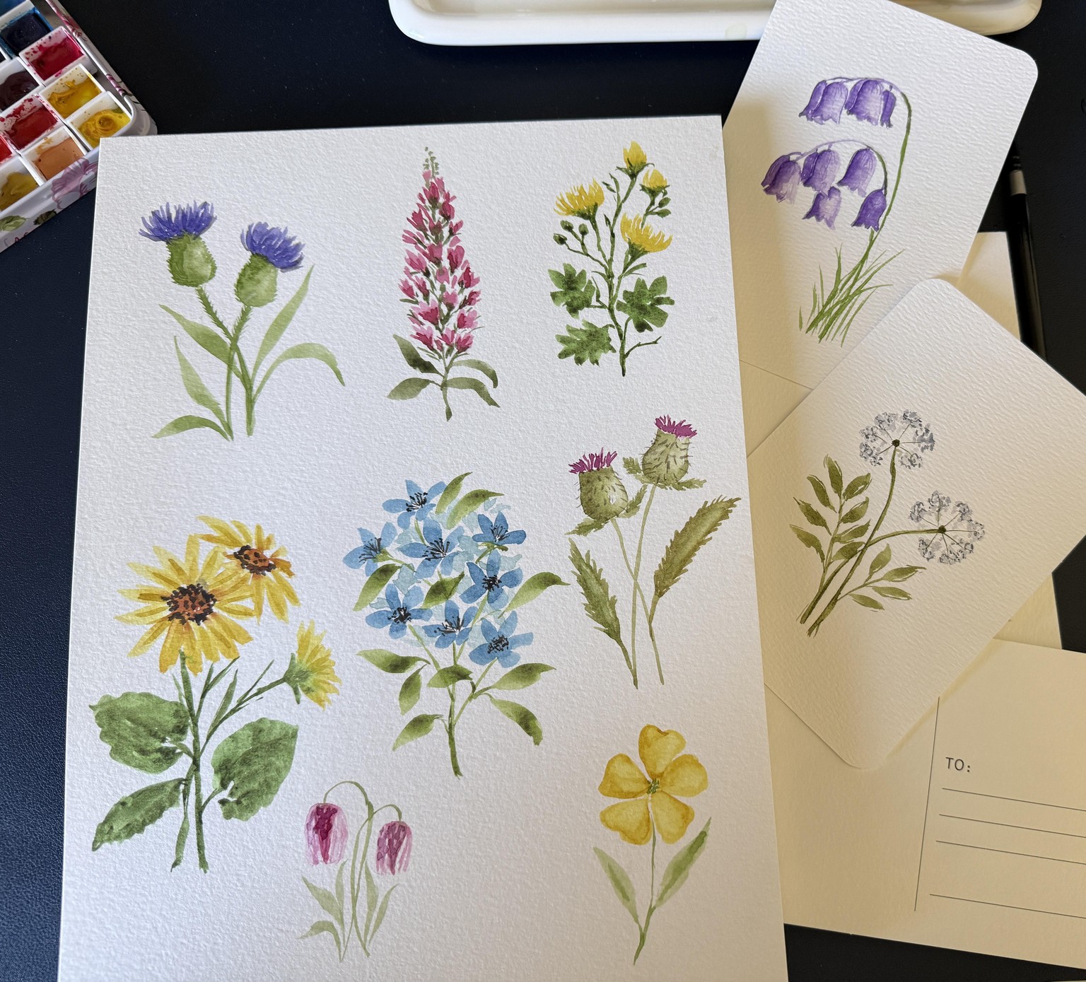 7 Day Challenge - Wildflowers - image 1 - student project