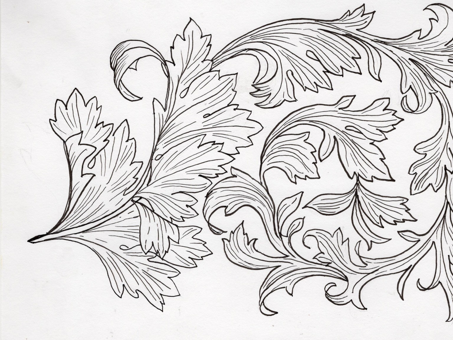 Acanthus leaves and moon gazing hares - image 1 - student project