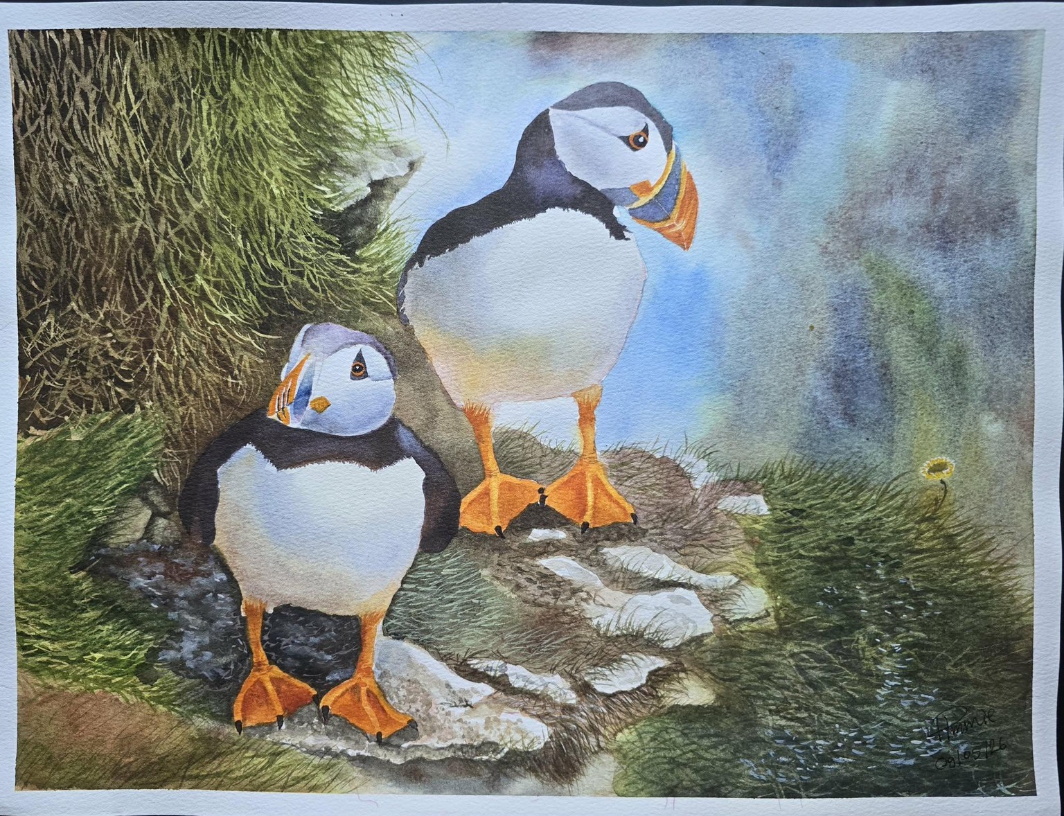 Puffins - image 1 - student project
