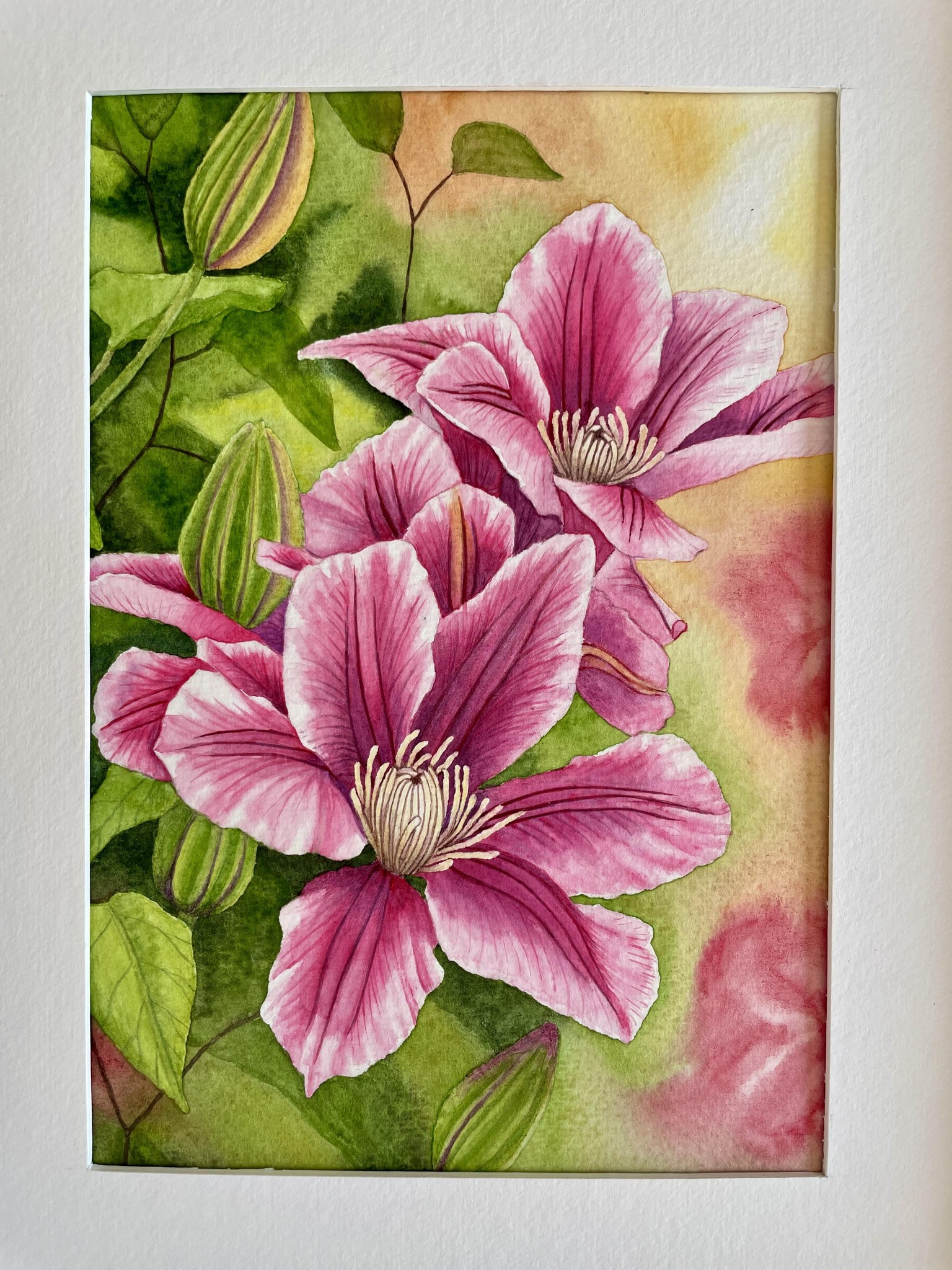 Clematis in watercolours - image 1 - student project