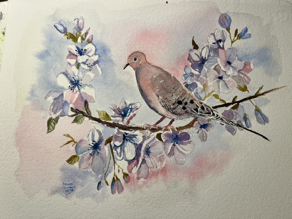 A Dove Landed on my Limb. .. - image 1 - student project
