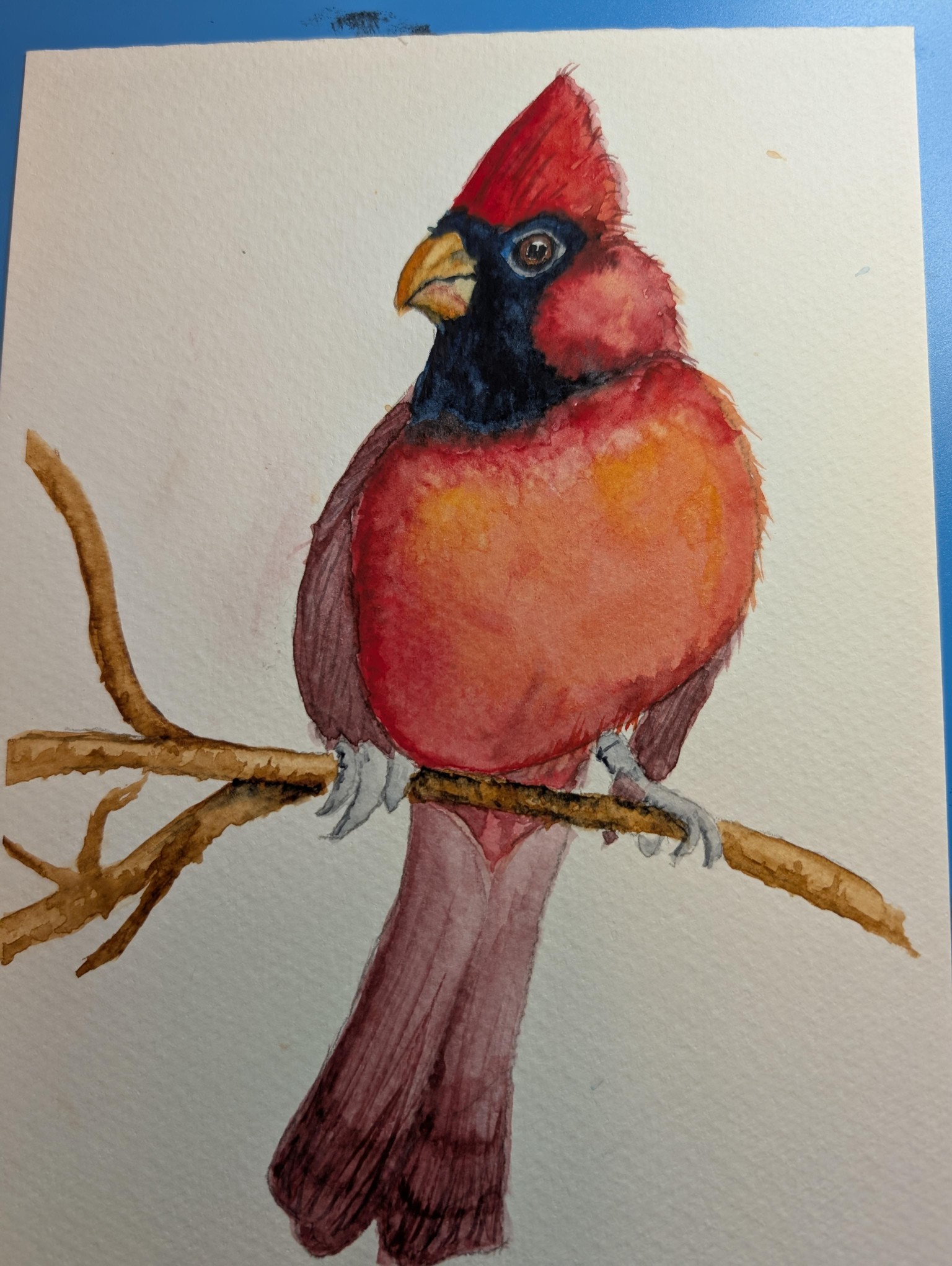 Red Cardinals - image 1 - student project