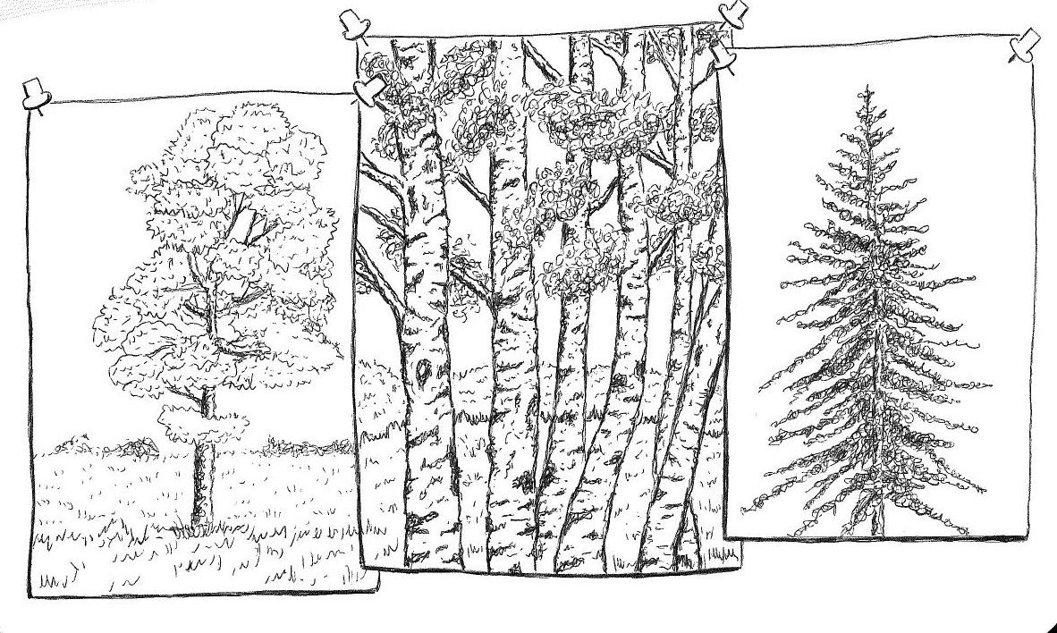 Sketchy Trees with a Ballpoint Pen - image 5 - student project