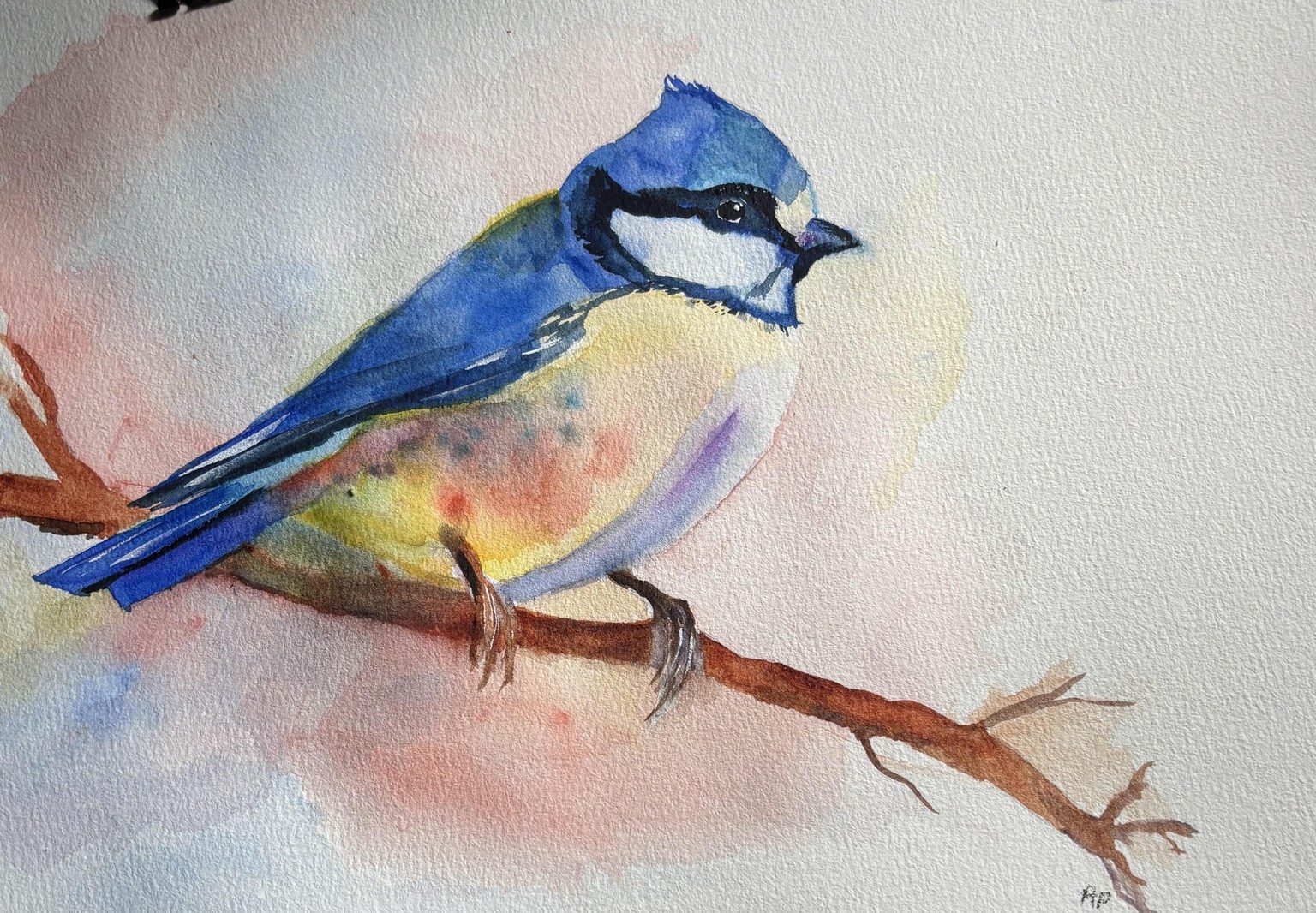 Blue tit in watercolor - image 1 - student project