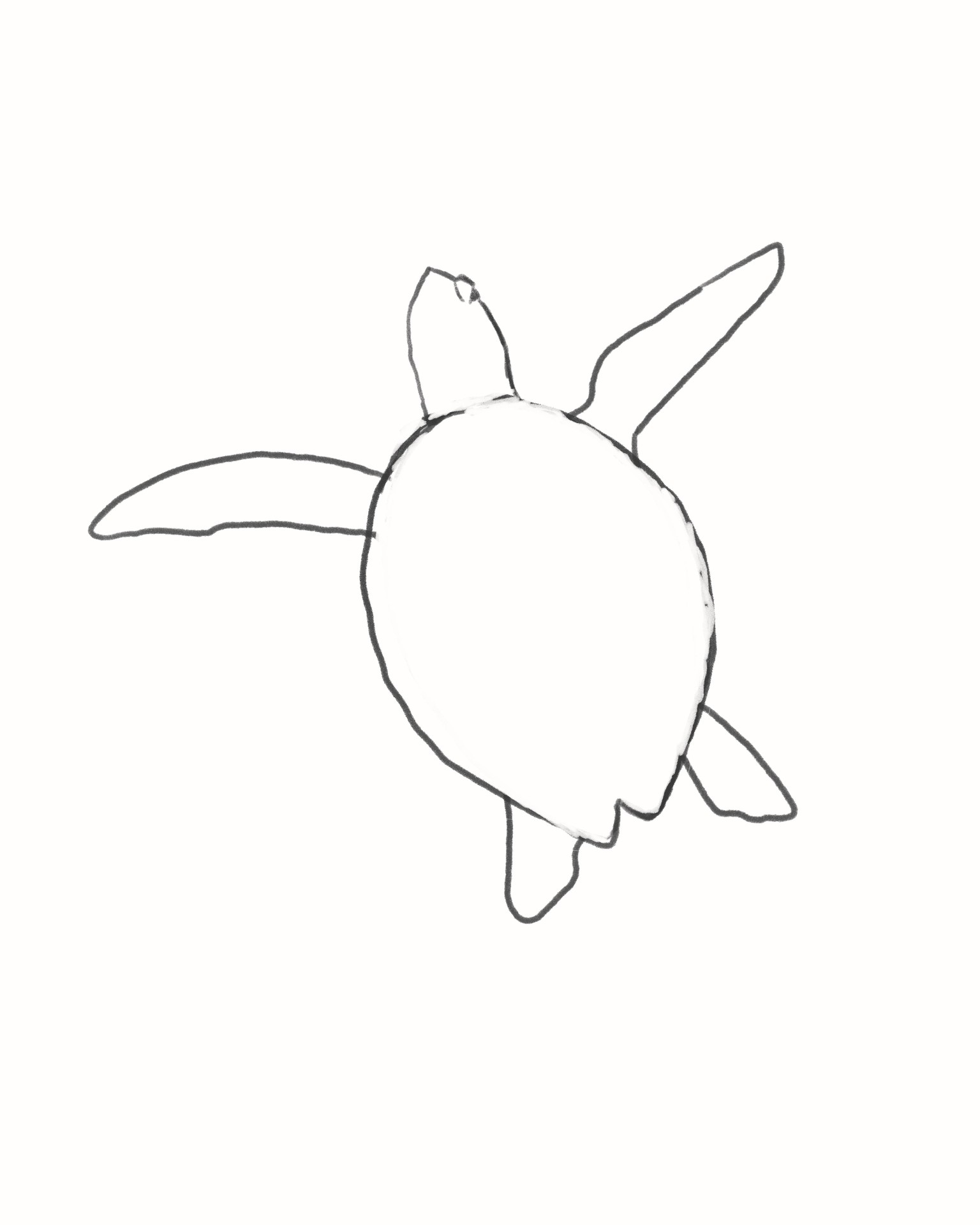 Chickadee and Sea Turtle - image 3 - student project