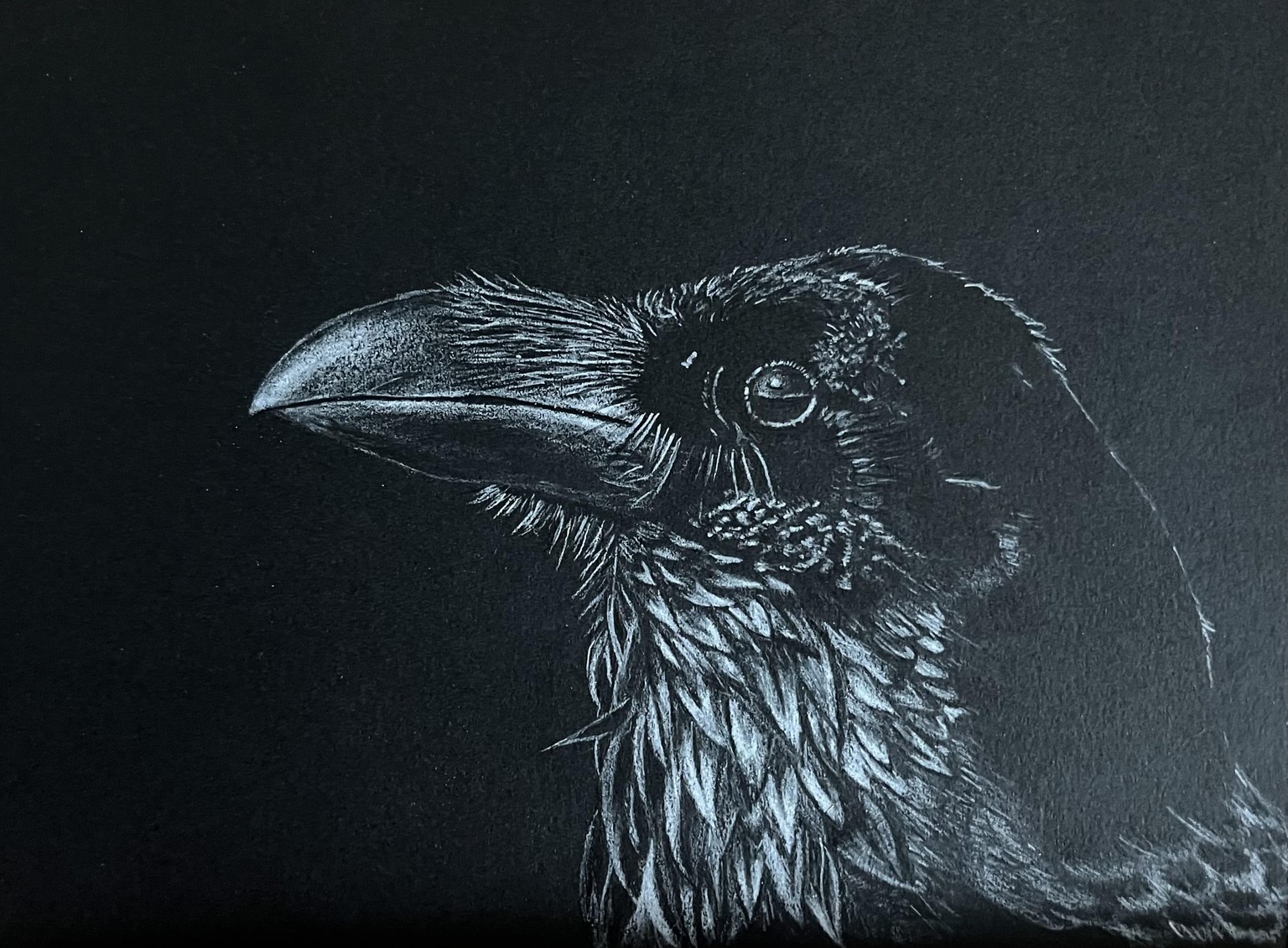 Crow - image 1 - student project