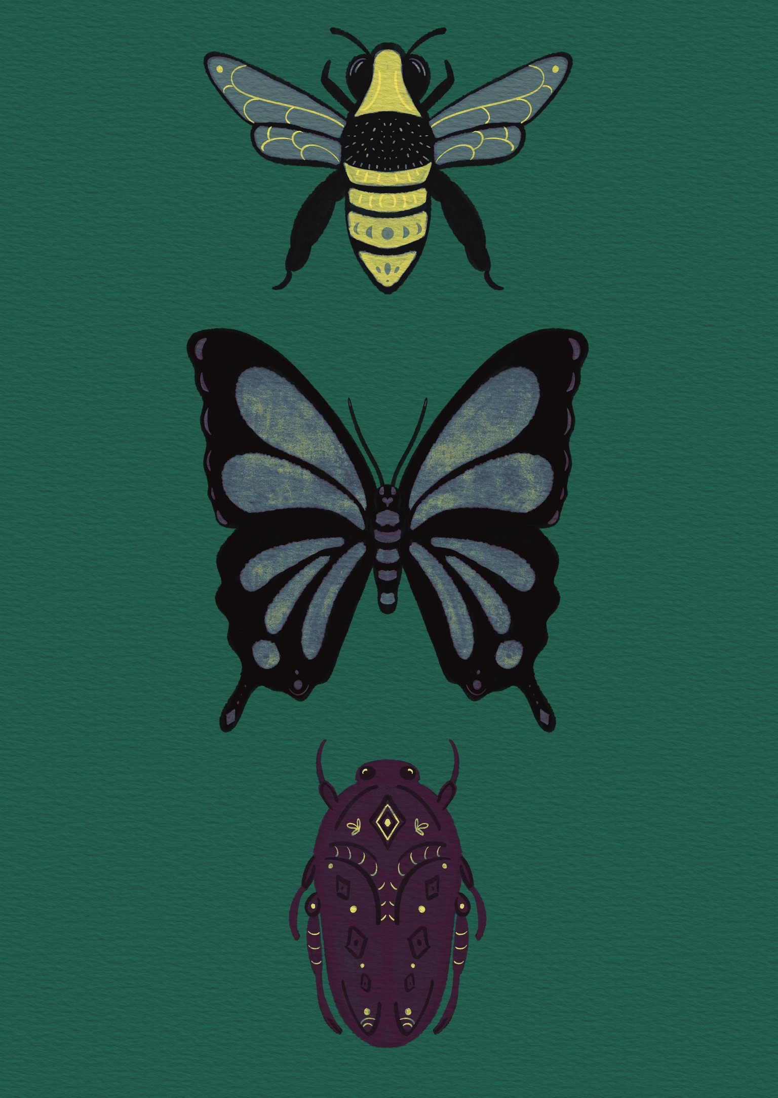 Bugs - image 1 - student project