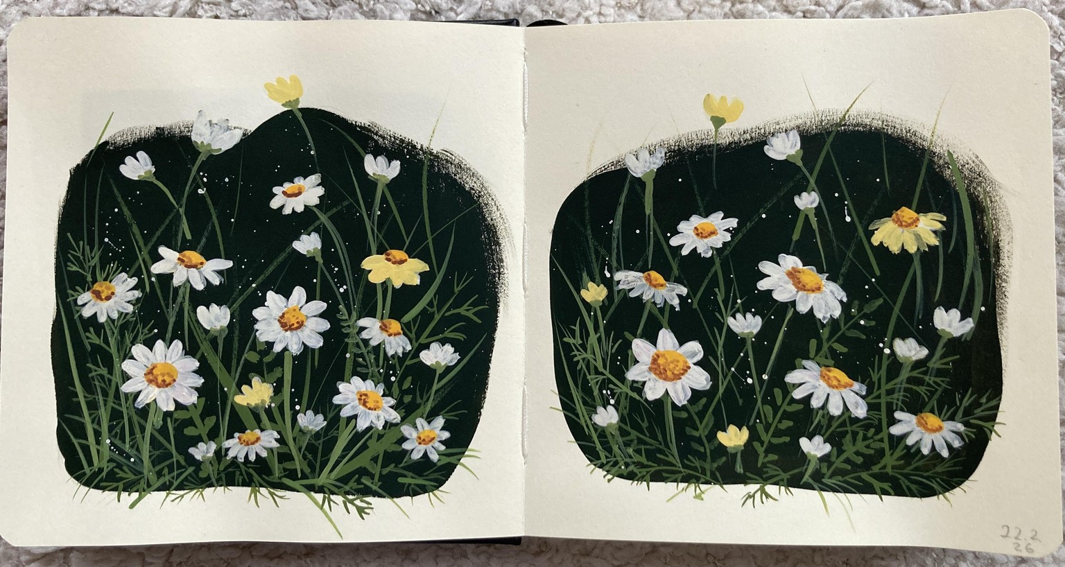 Daisy flowers - image 1 - student project