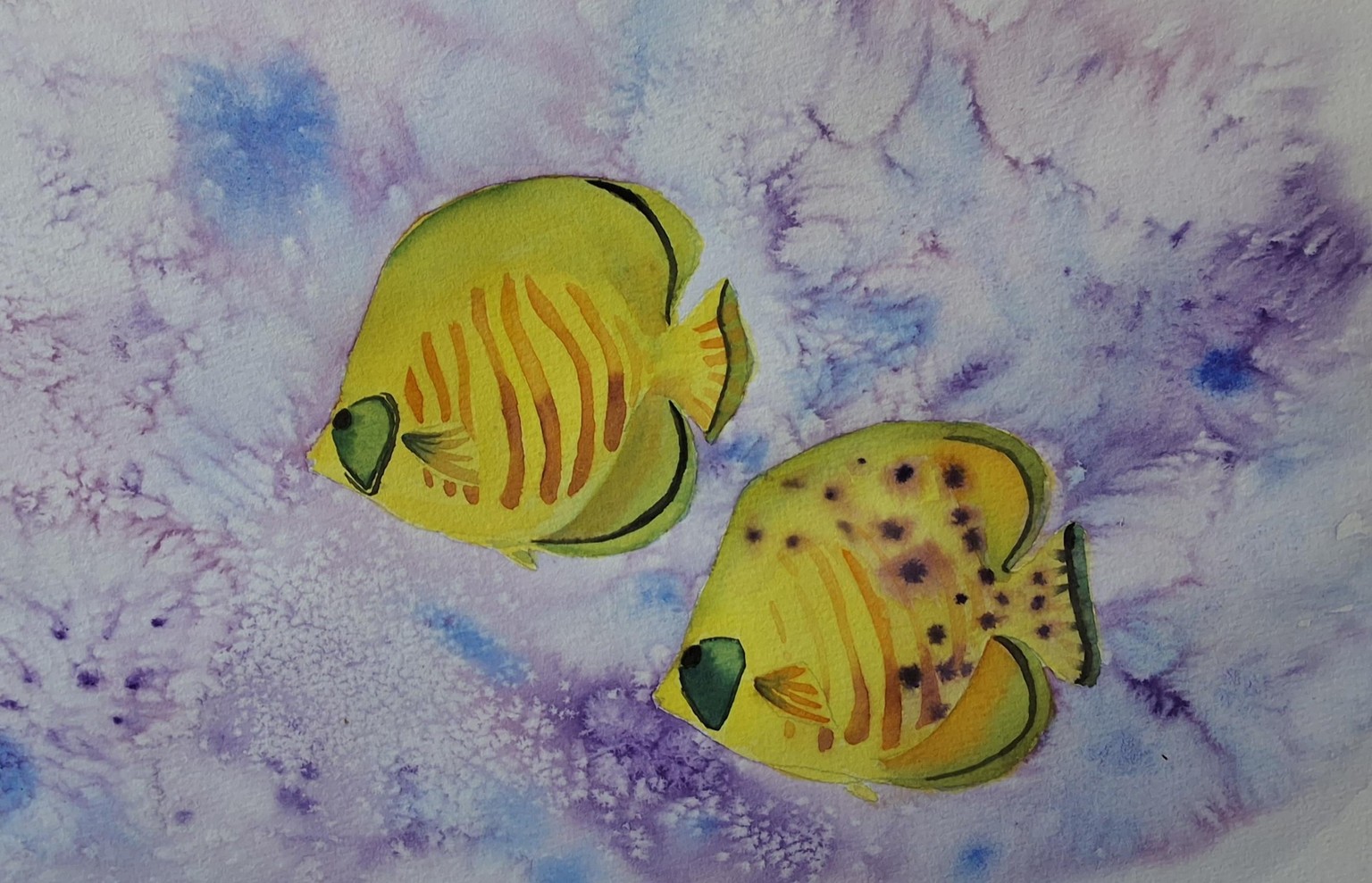 Tropical fish, octopus and jellyfish - image 3 - student project