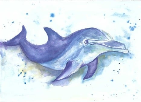 Watercolor Dolphin - image 1 - student project