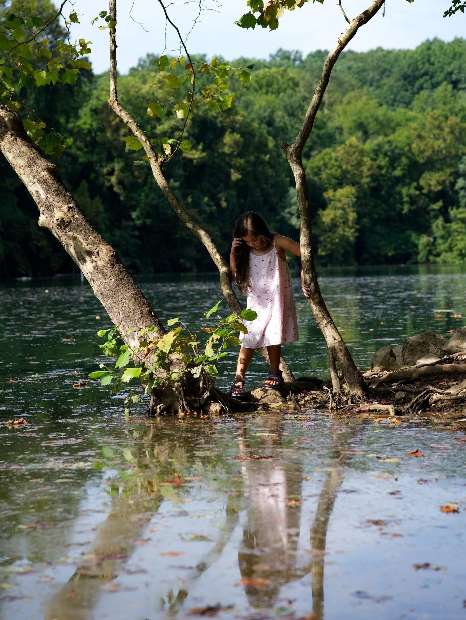 Reflection - image 1 - student project