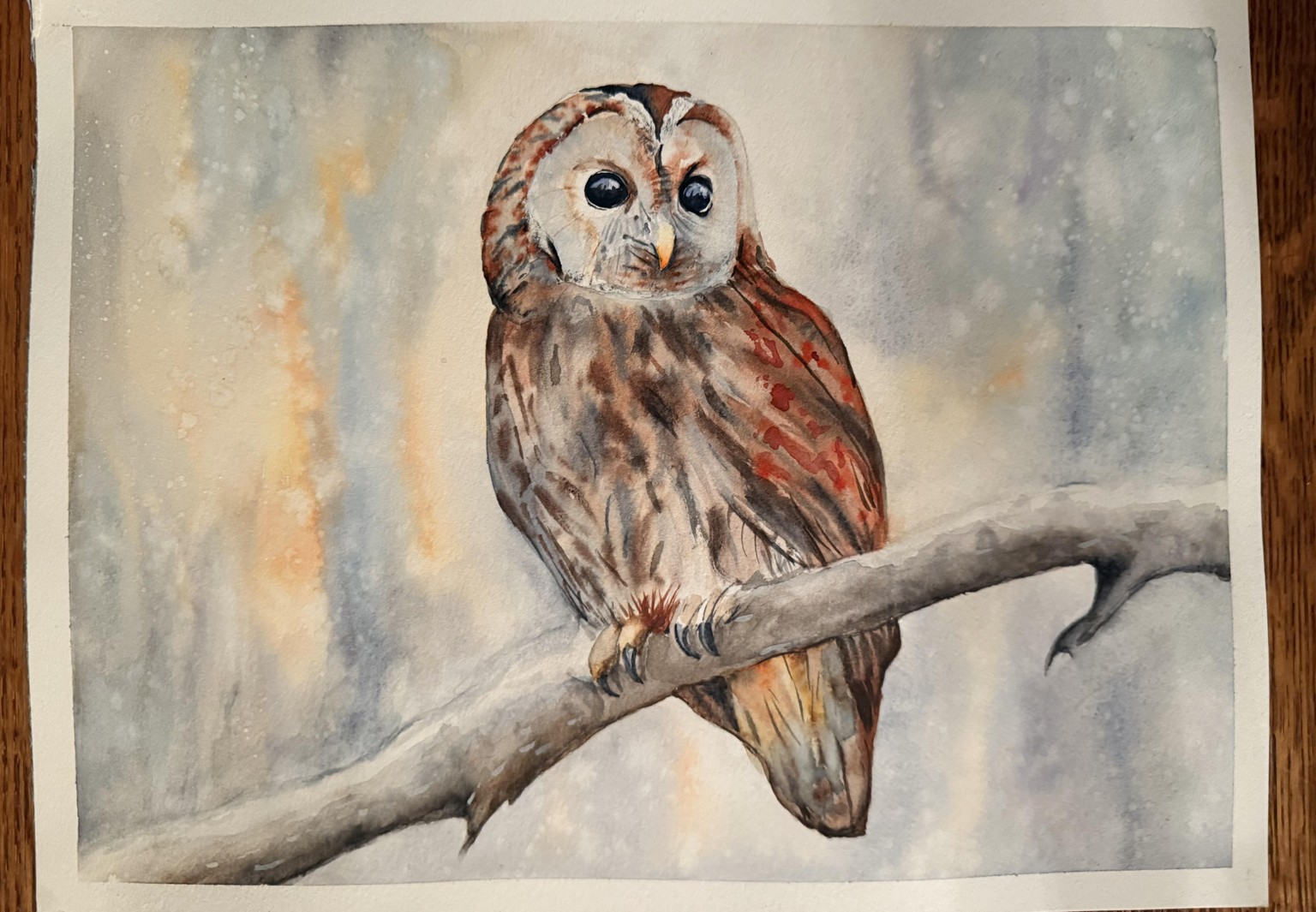 Winter Owl - image 1 - student project