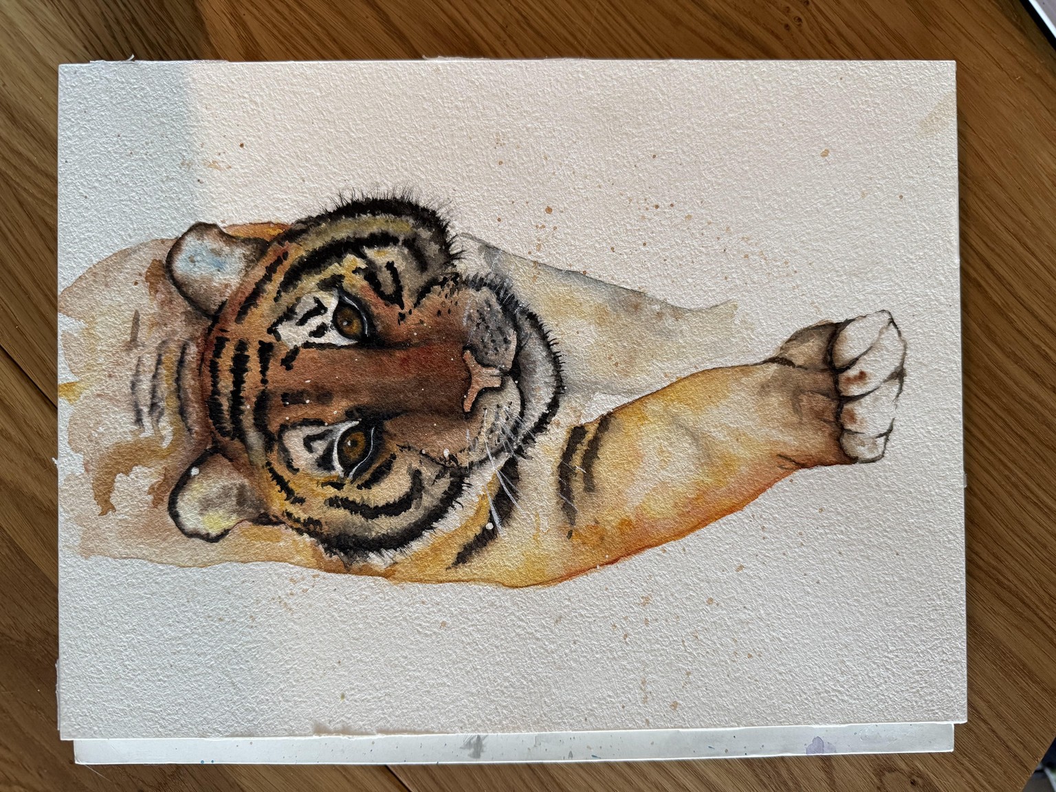 Tiger - image 1 - student project