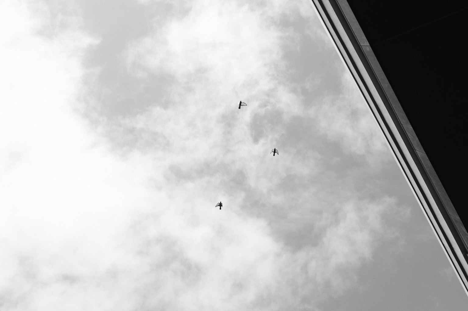 Three Threes from 3/3 - image 1 - student project
