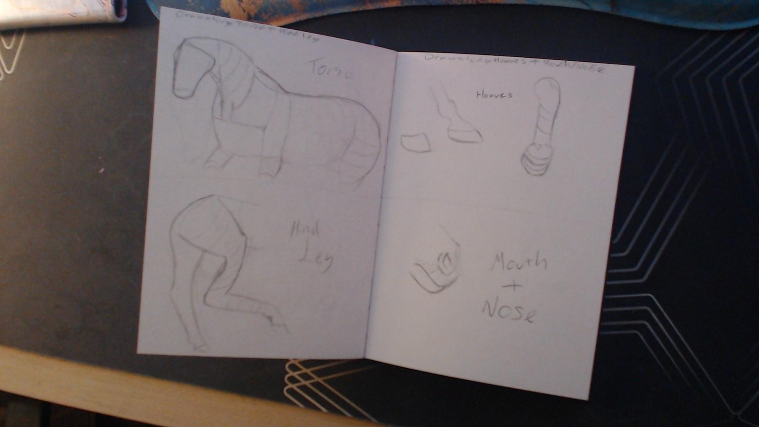 My Horse Drawing - image 2 - student project