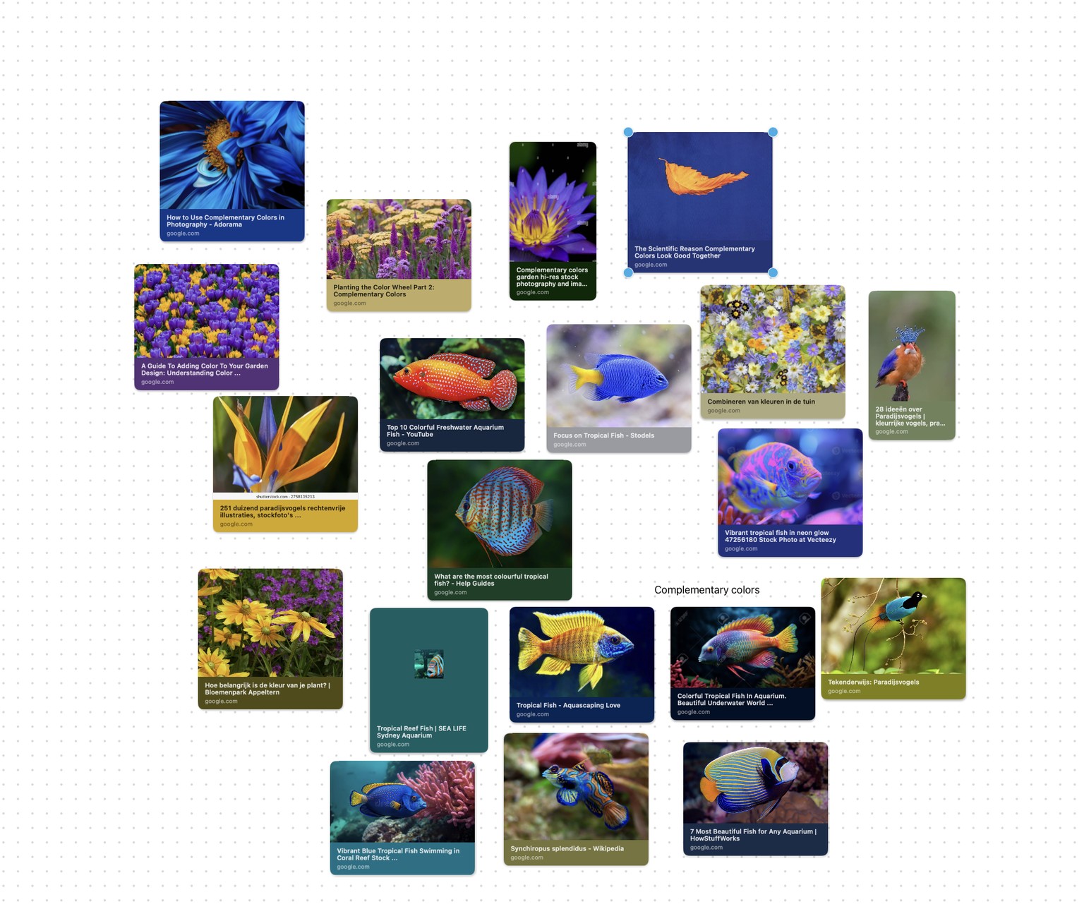 color birds in pastel sky - image 2 - student project