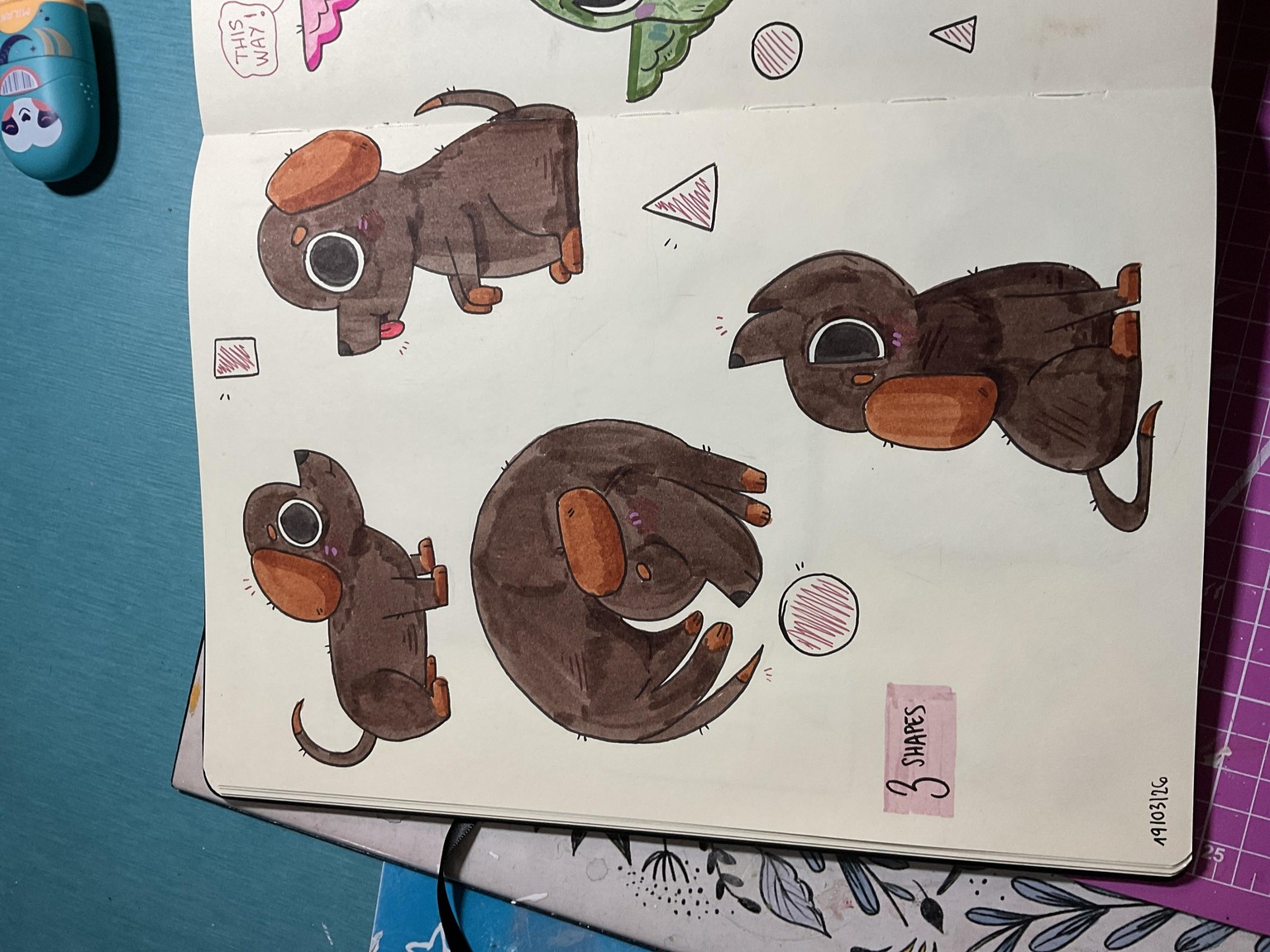 Dachshund - image 1 - student project
