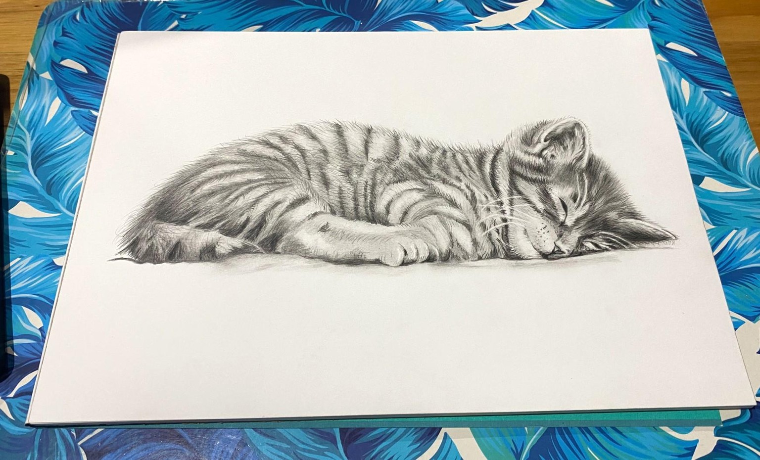 Sleeping kitten - image 1 - student project
