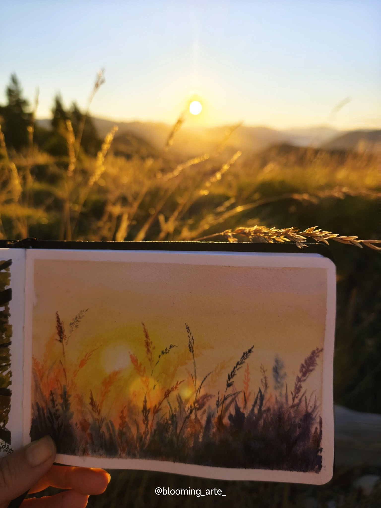 Puesta de sol en el campo - image 1 - student project