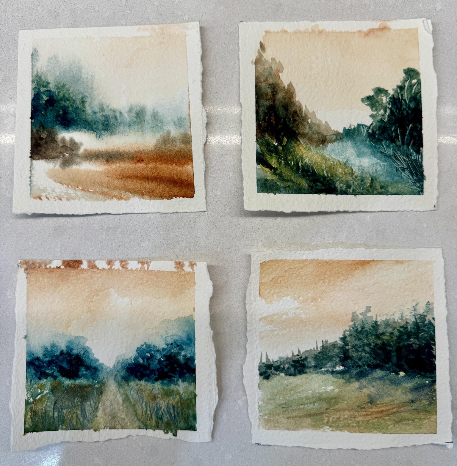Love the colours - image 1 - student project