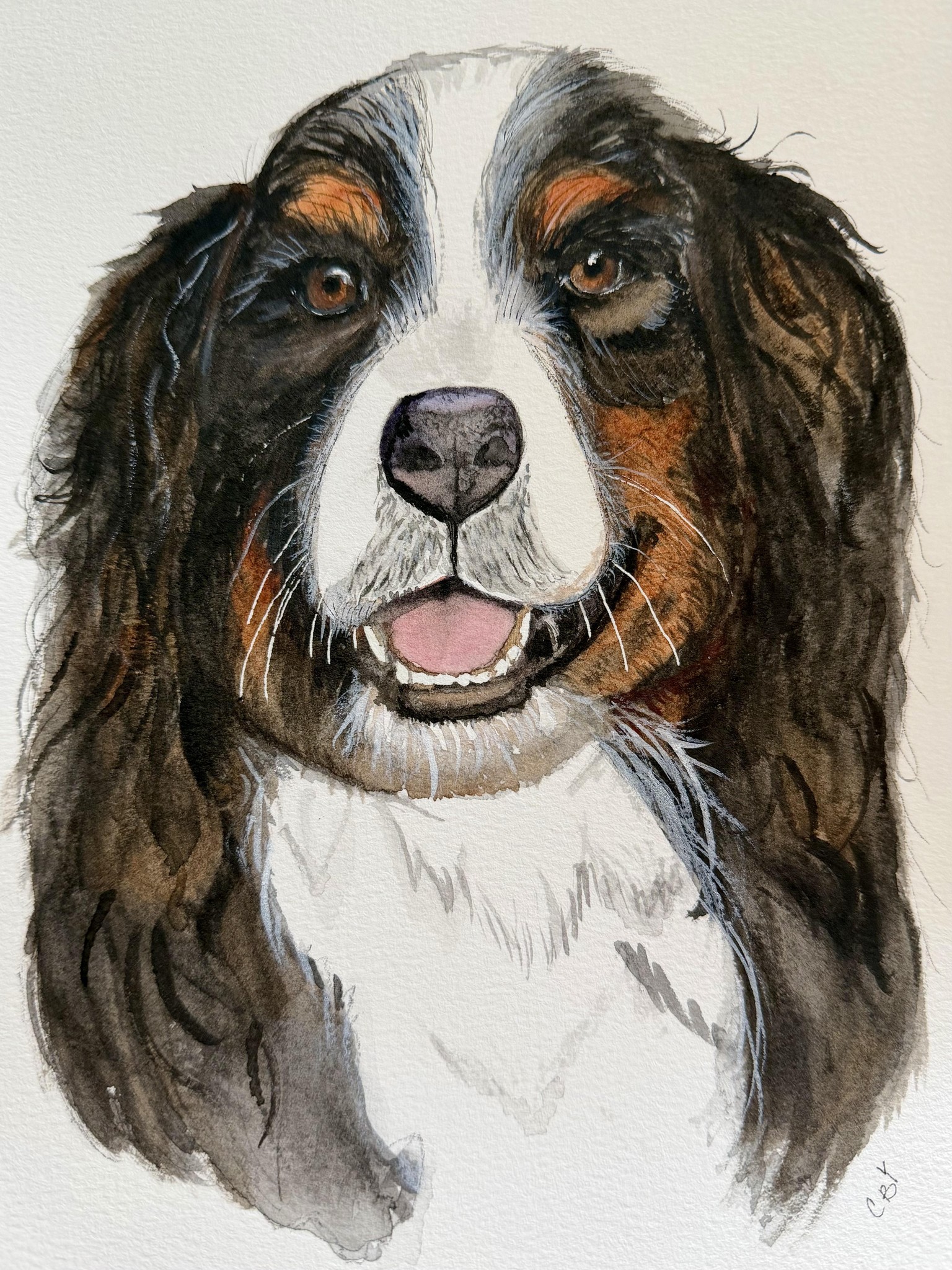 Bernese - image 1 - student project