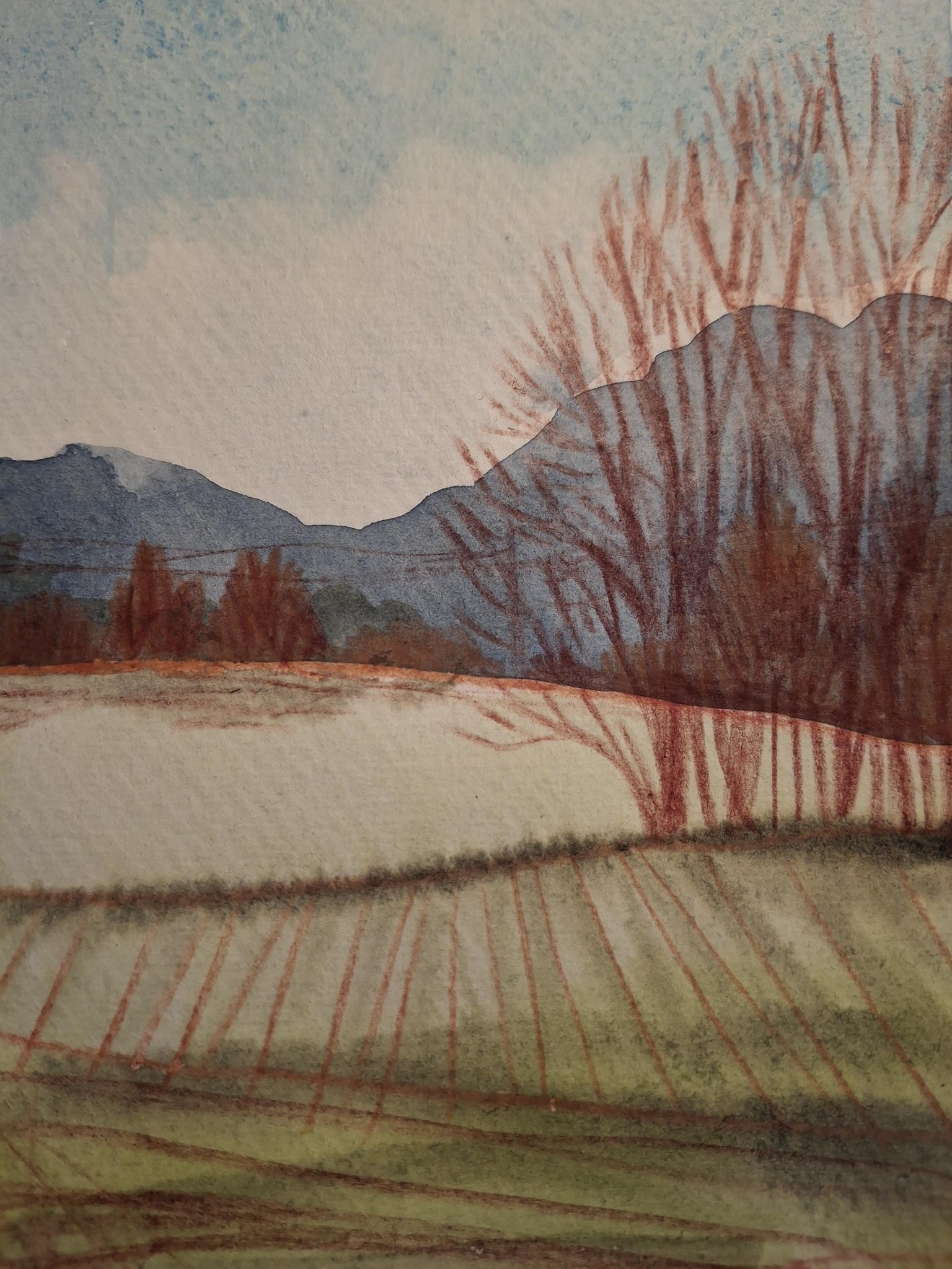 Quick watercolor sketches - image 1 - student project